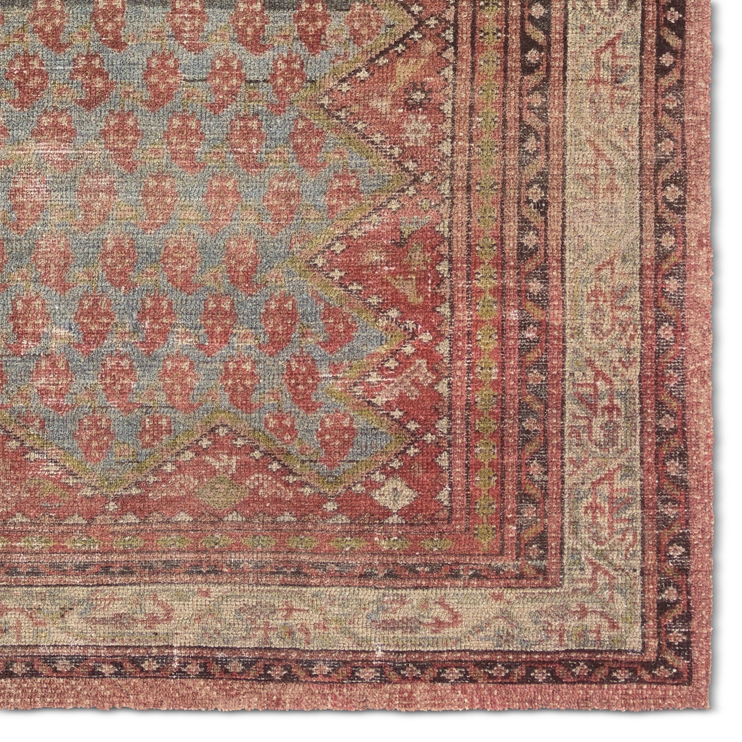 House Sprucing by Jaipur Living Amata Stellina Hand Tufted Rug