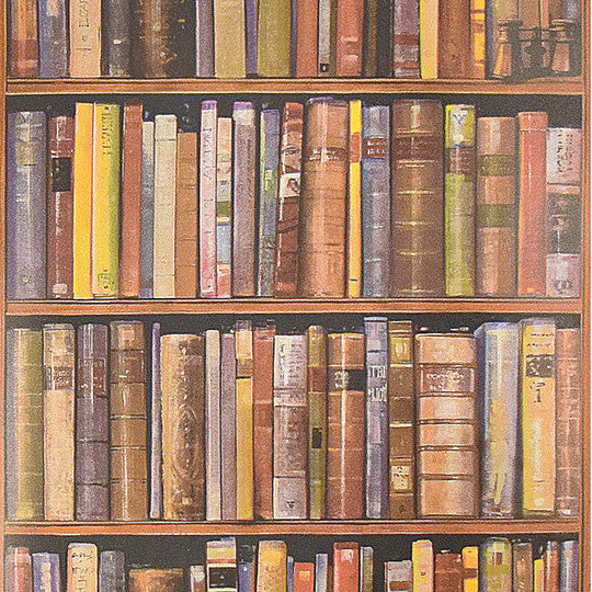 Andrew Martin x Kravet Couture Library Multi Wallpaper