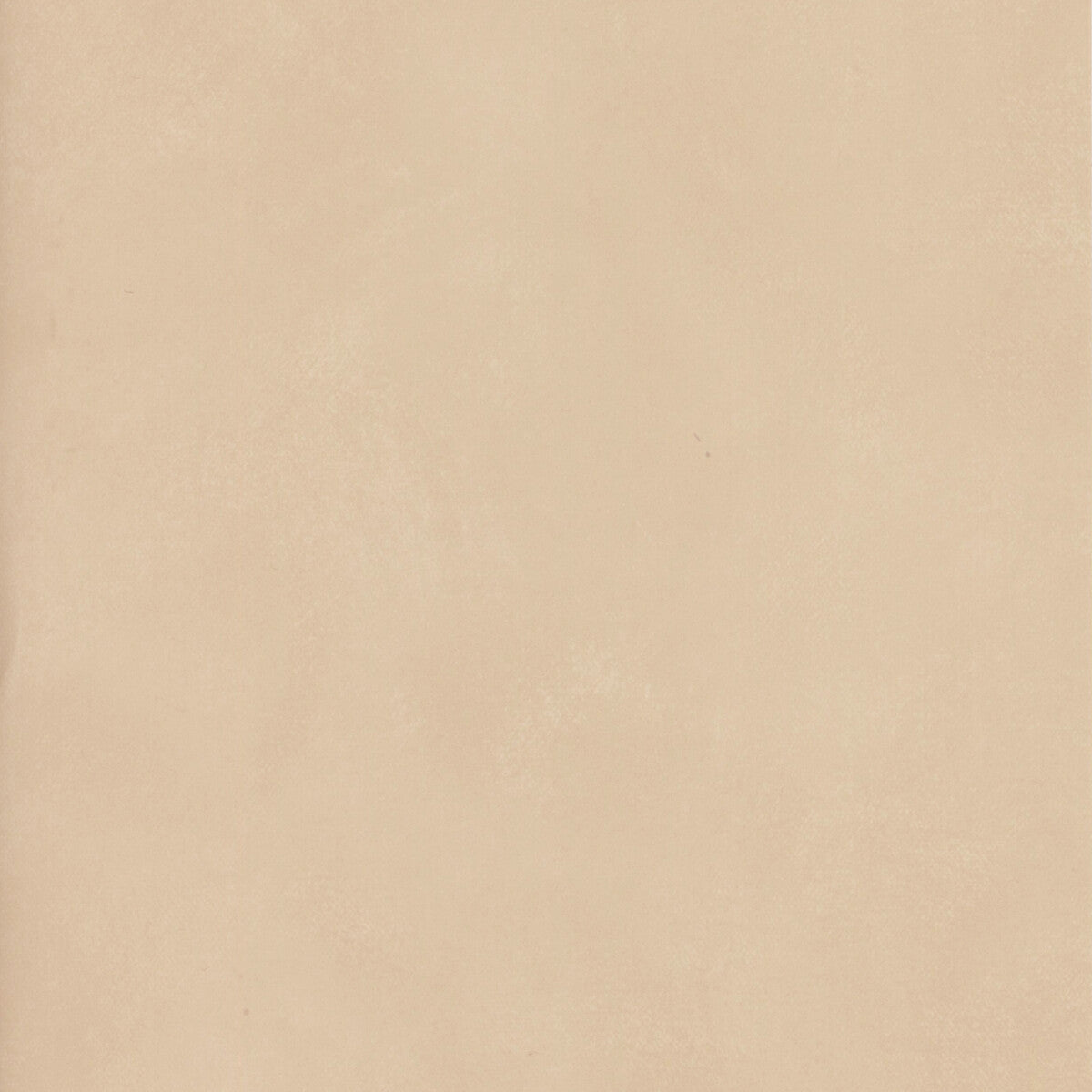 Andrew Martin x Kravet Couture Japan Flax Wallpaper