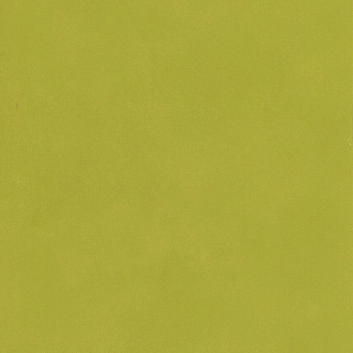 Andrew Martin x Kravet Couture Japan Citrus Wallpaper