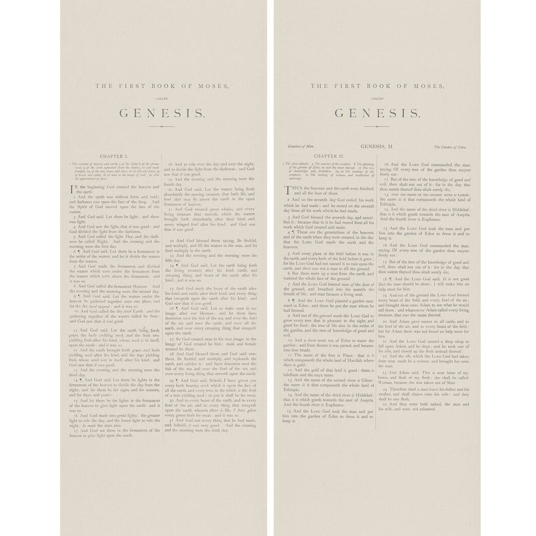 Andrew Martin x Kravet Couture Genesis 16 Wallpaper