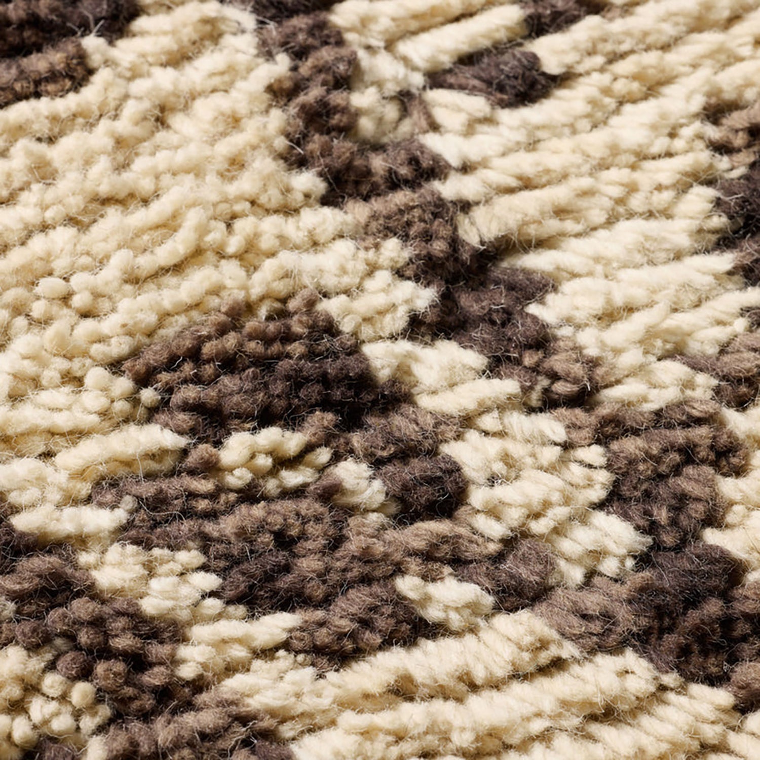 Loloi Eucalyptus Embrace Framed Wall Art