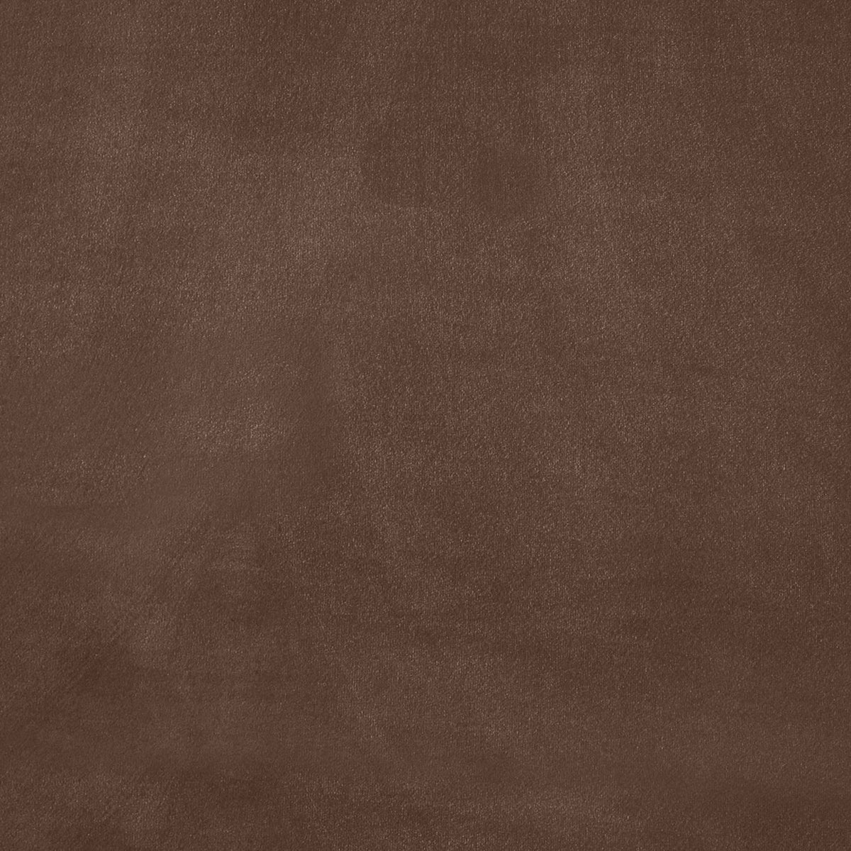 Kendall Brown Velvet Upholstered Bed