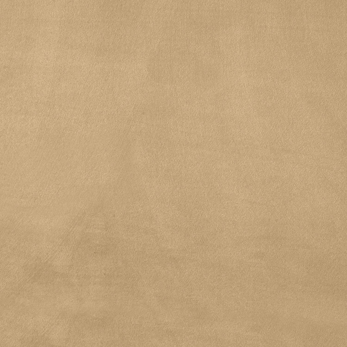 Kendall Camel Velvet Upholstered Bed