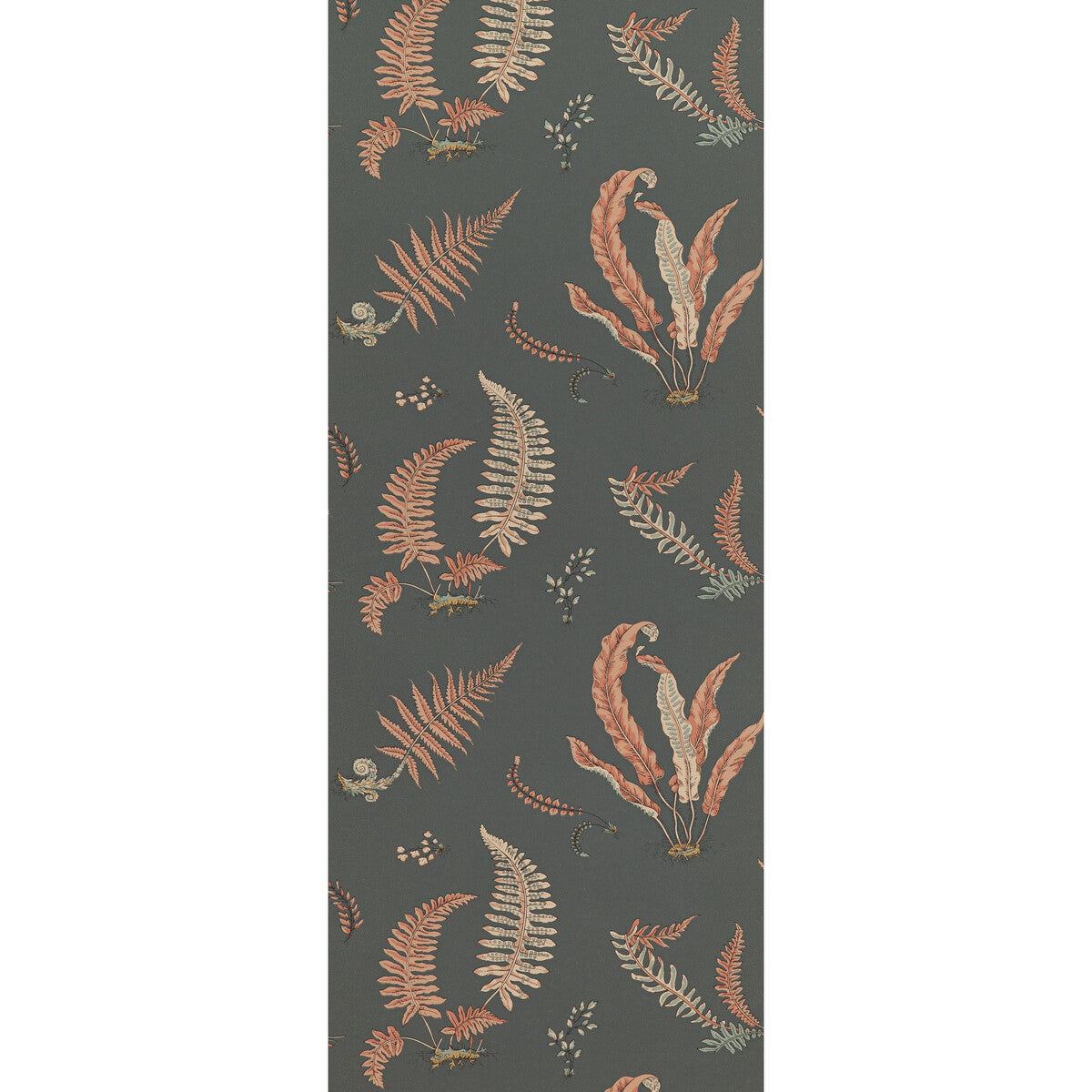 G P & J Baker Ferns Coral/Charcoal Wallpaper