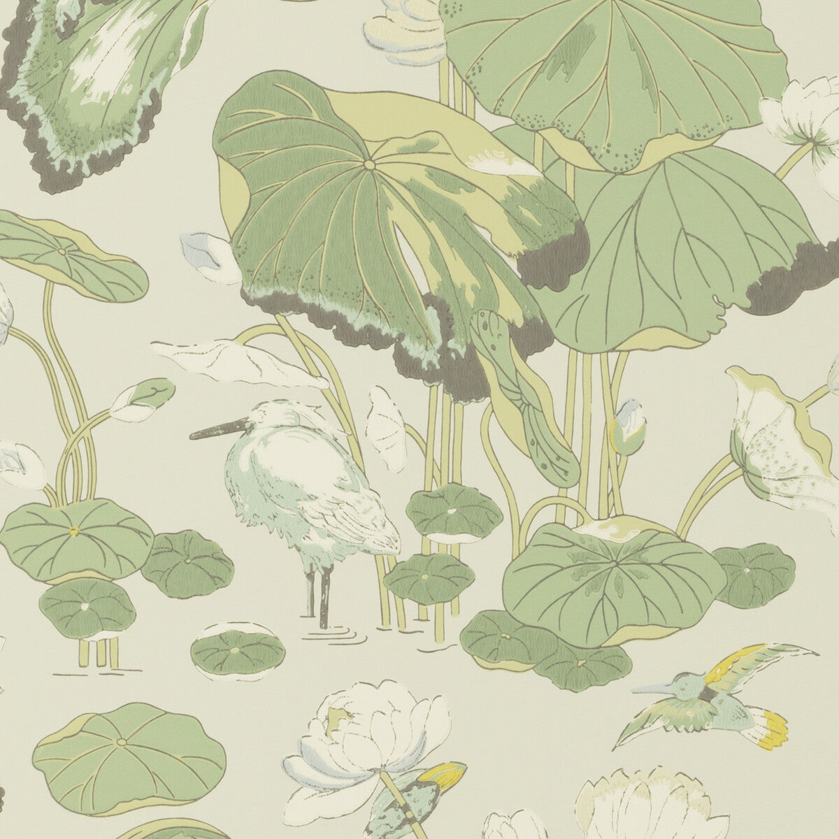 G P & J Baker Nympheus Botanical Wallpaper