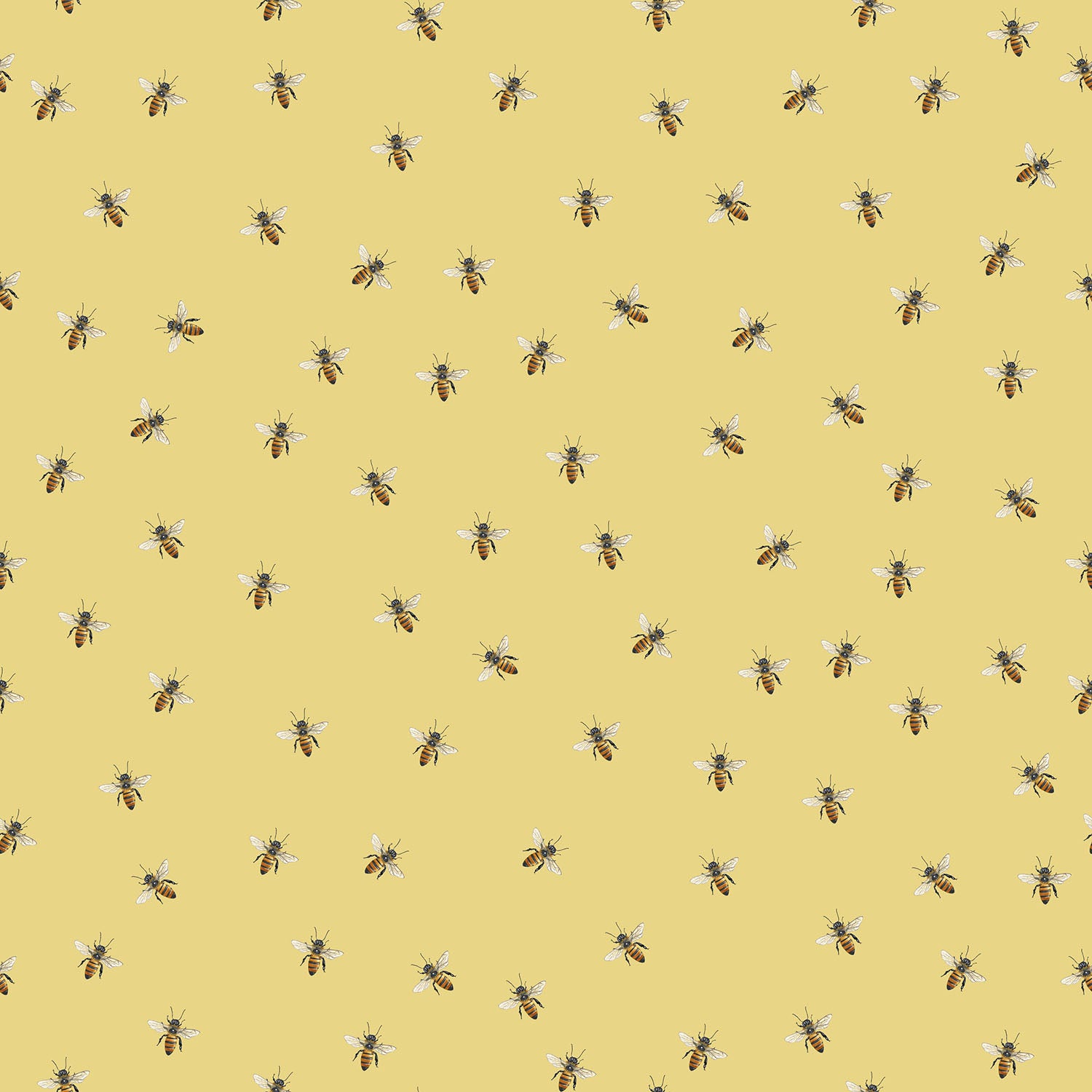 Mitchell Black Bee Wallpaper