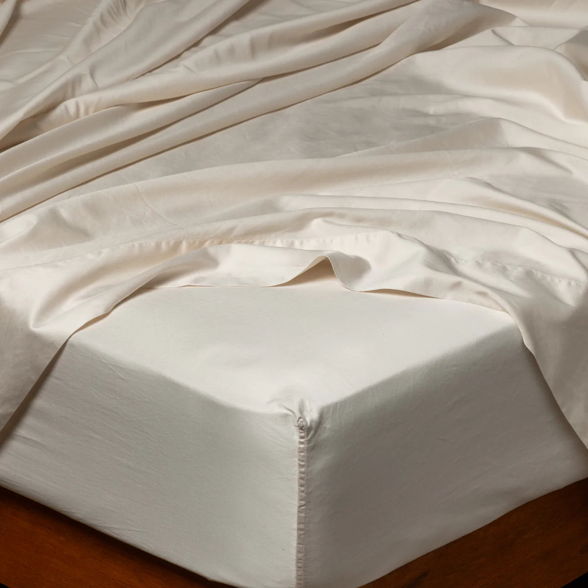 Bella Notte Bria Fitted Sheet