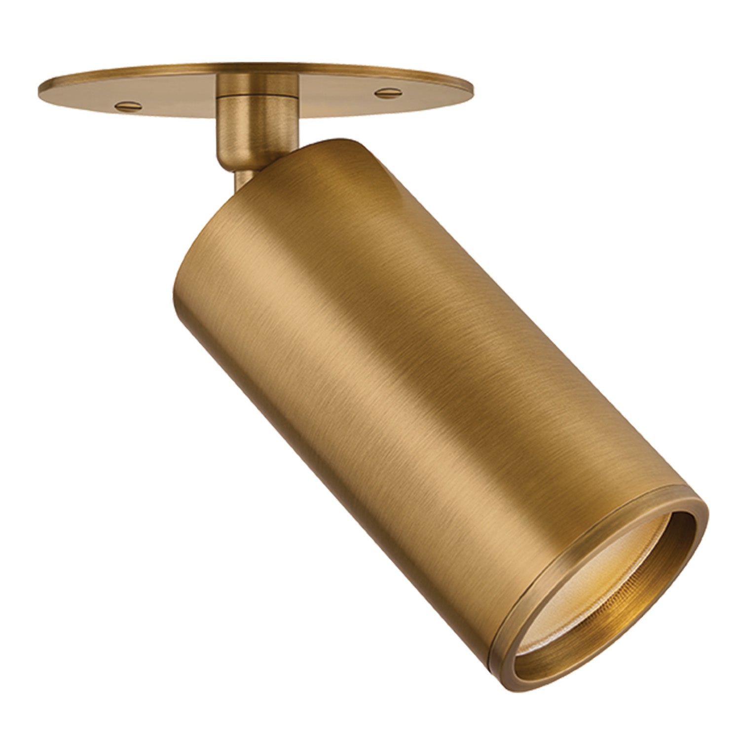 Troy Lighting Caleb Patina Brass Flush Mount
