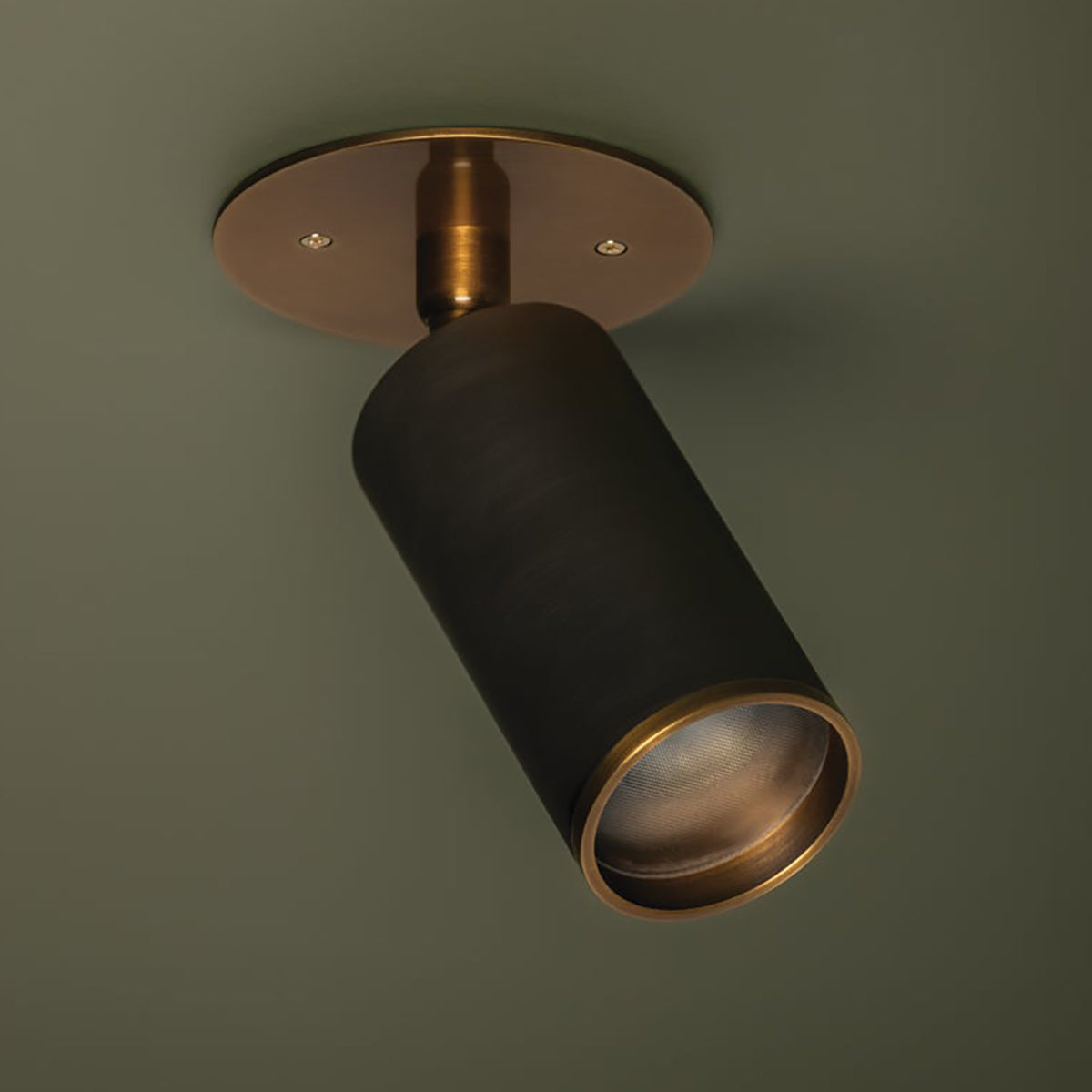 Troy Lighting Caleb Flush Mount