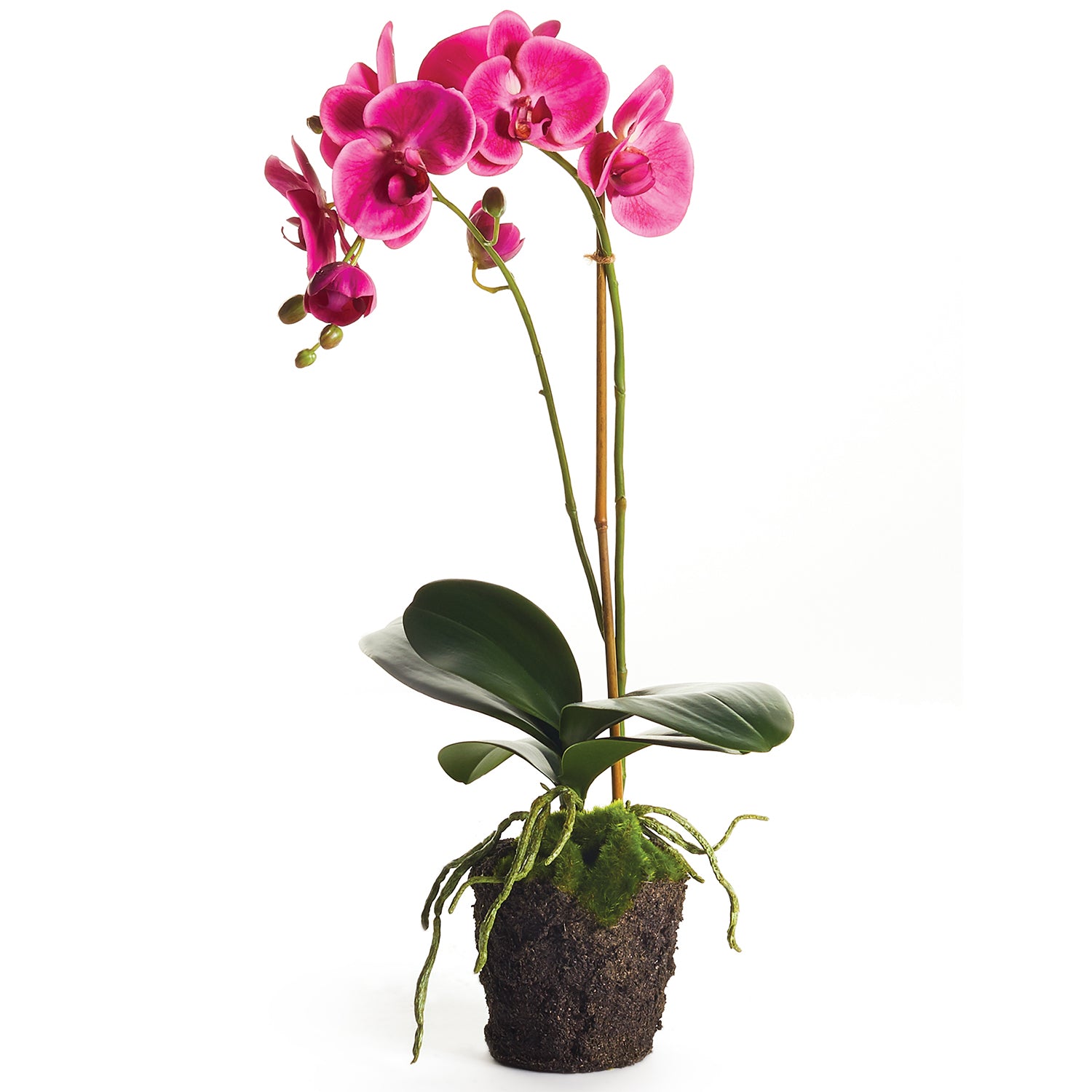 Phalaenopsis 23in Drop-In Faux Plant