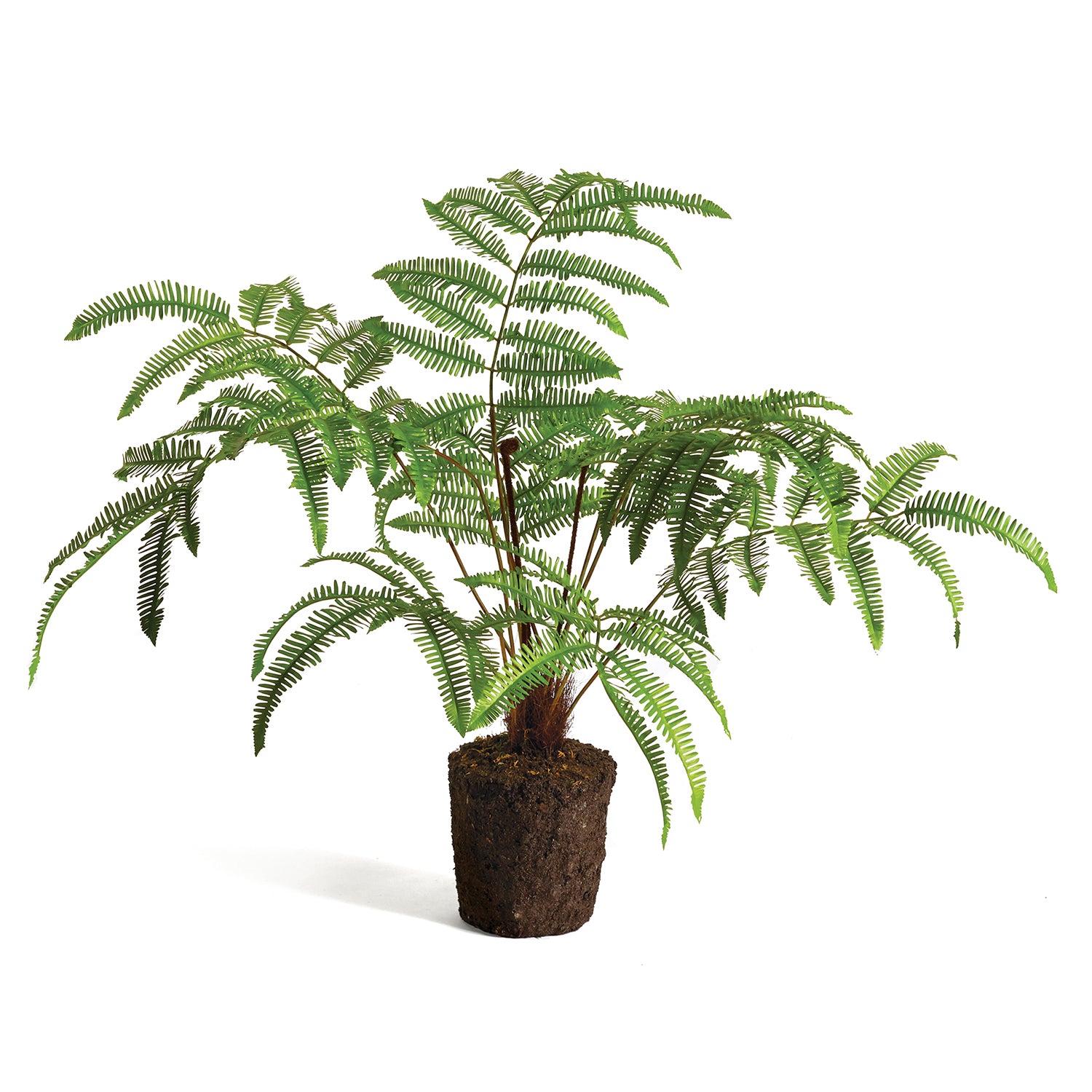 Forest Fern Drop-In Faux Plant