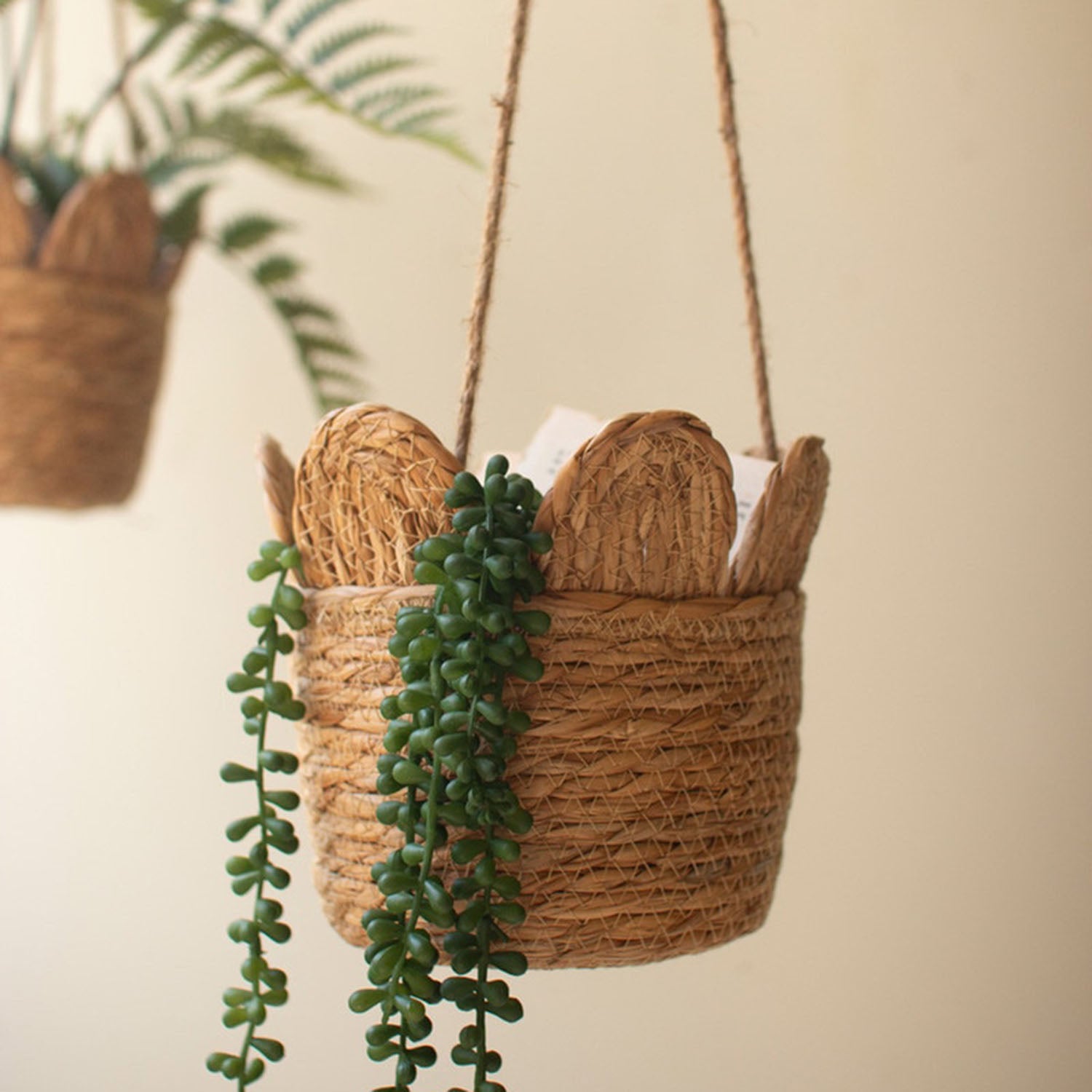 Seagrass Hanging Basket Set of 6