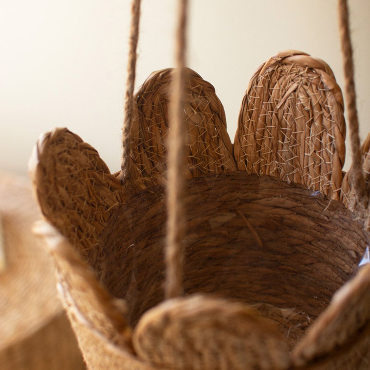 Seagrass Hanging Basket Set of 6