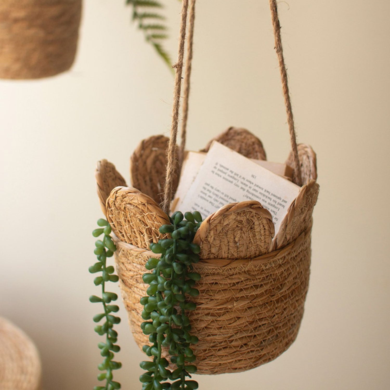 Seagrass Hanging Basket Set of 6