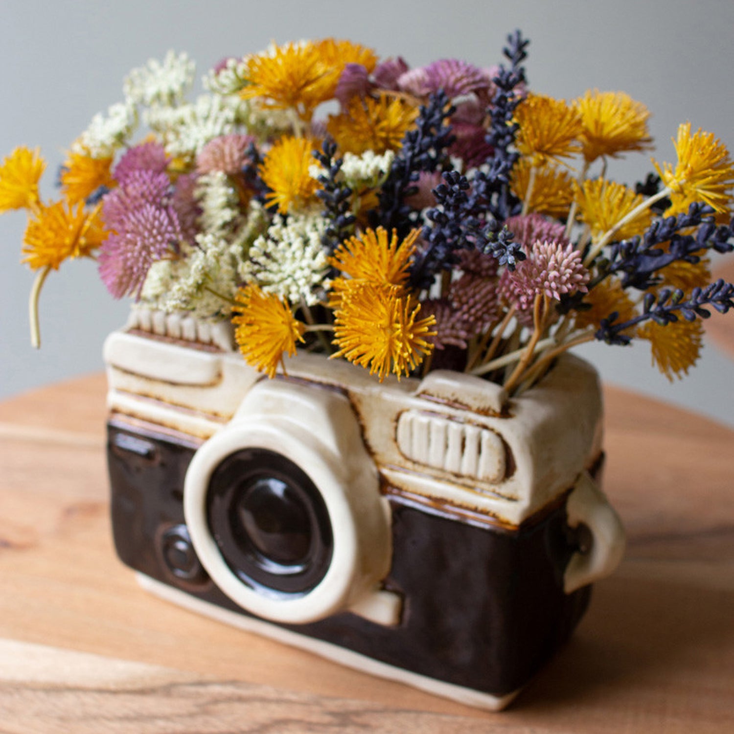 Camera Ceramic Planter