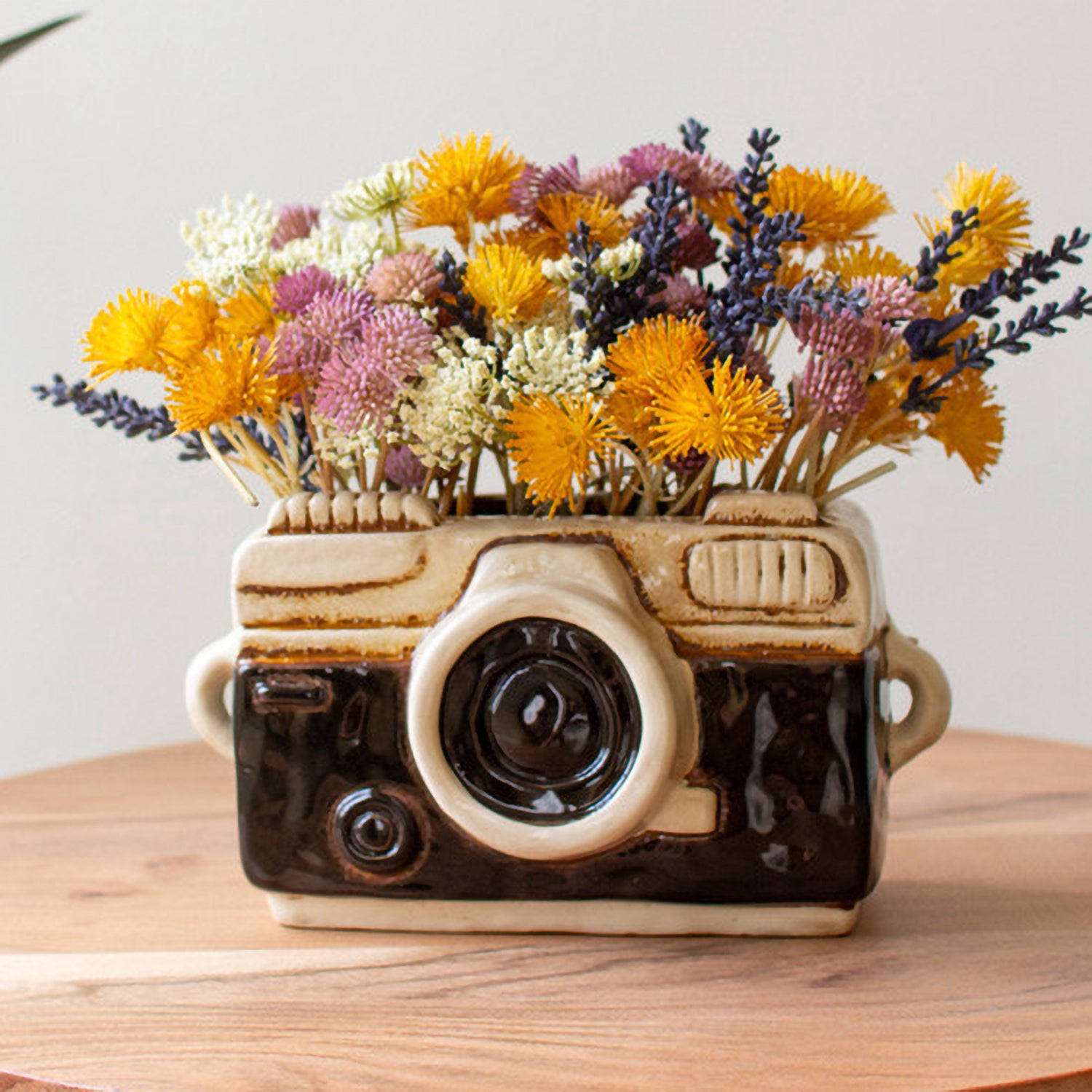 Camera Ceramic Planter