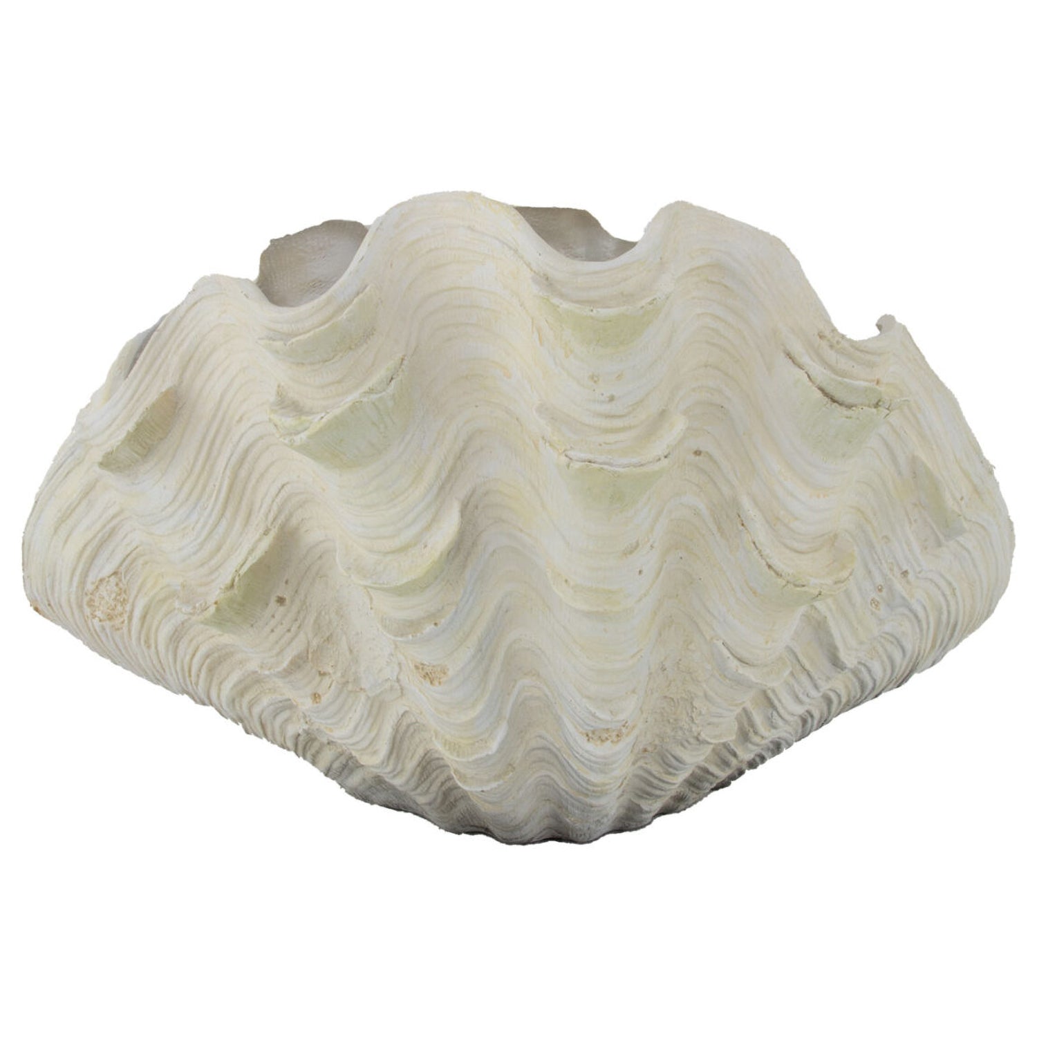 Clam Shell Sculpture