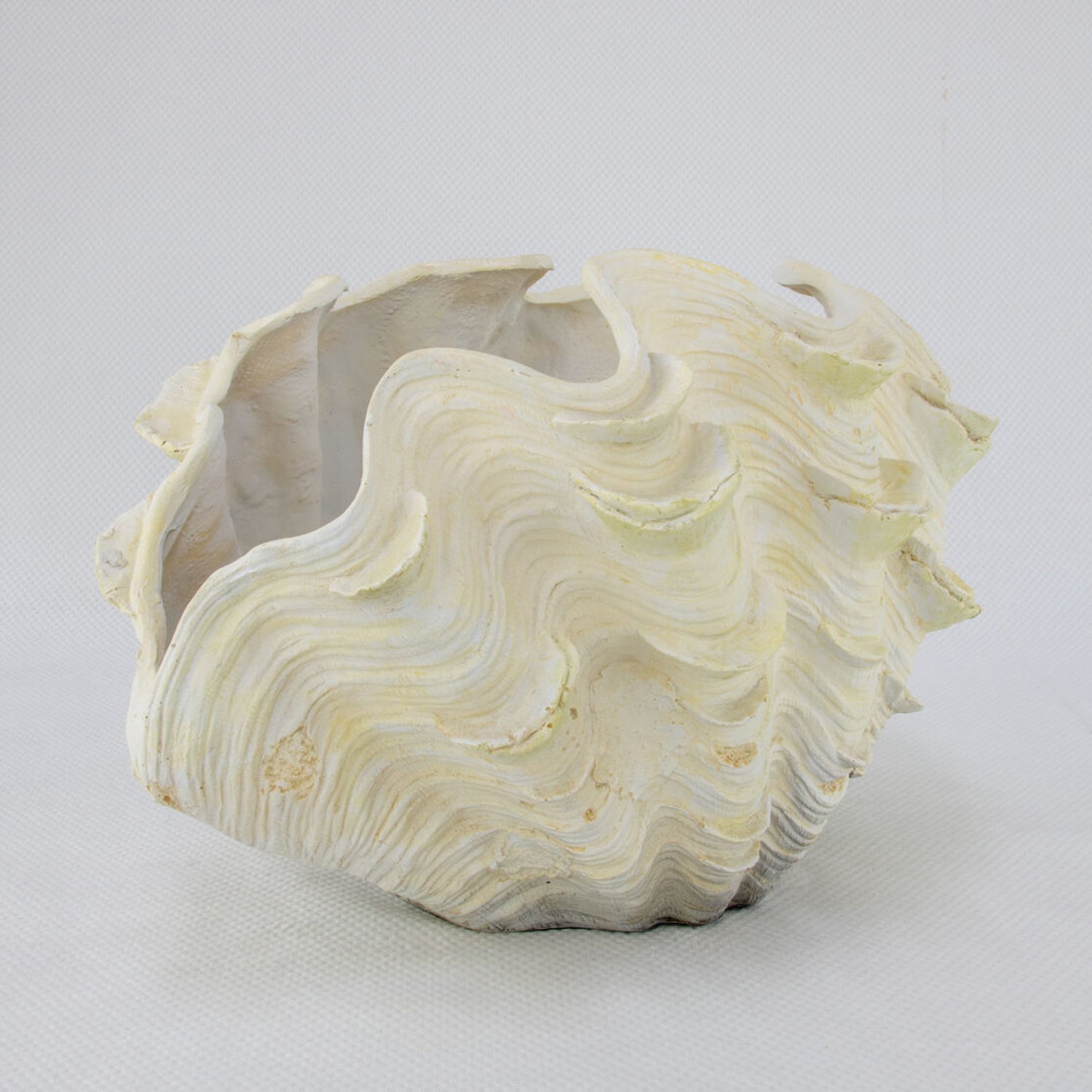 Clam Shell Sculpture