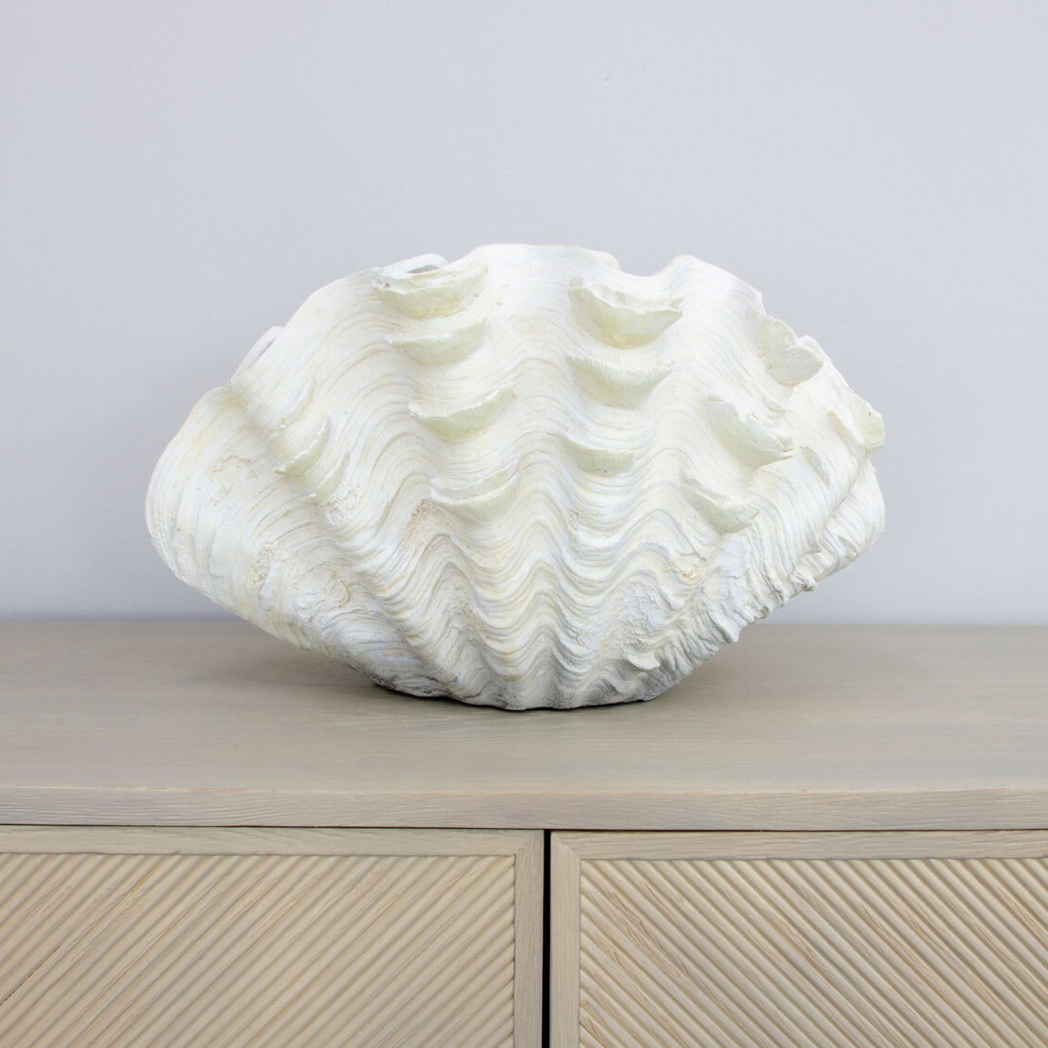 Clam Shell Sculpture