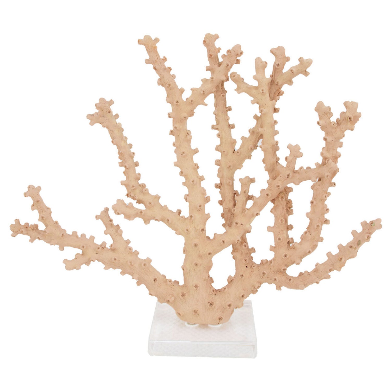 Coral Pink Sculpture