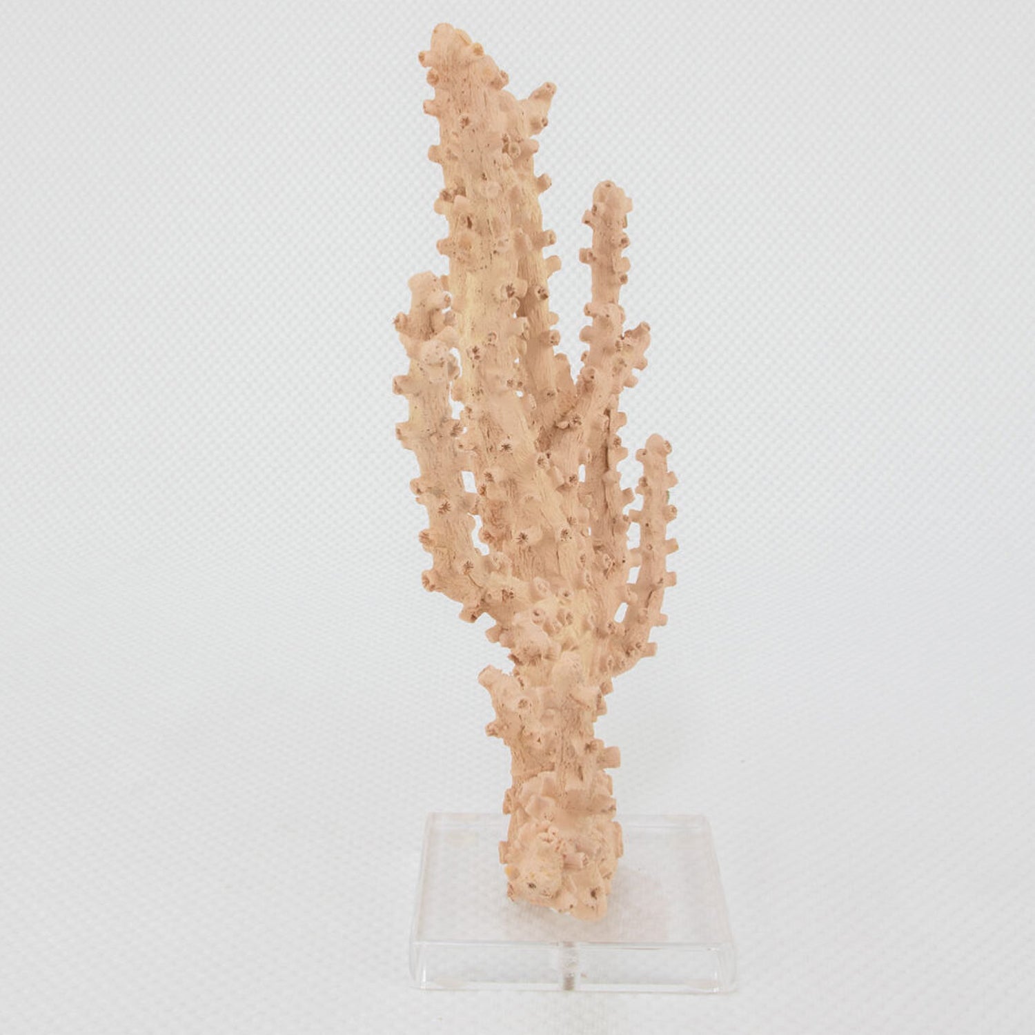 Coral Pink Sculpture