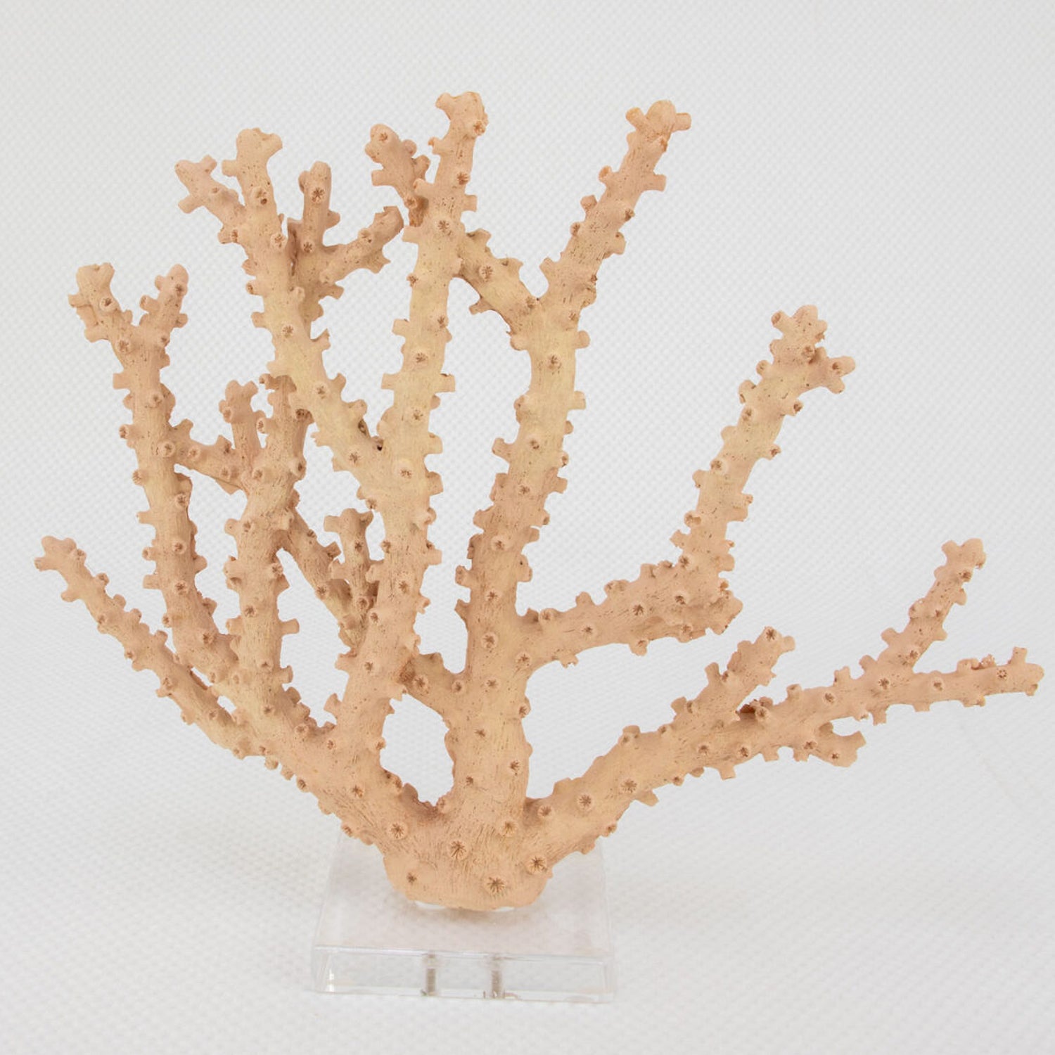 Coral Pink Sculpture