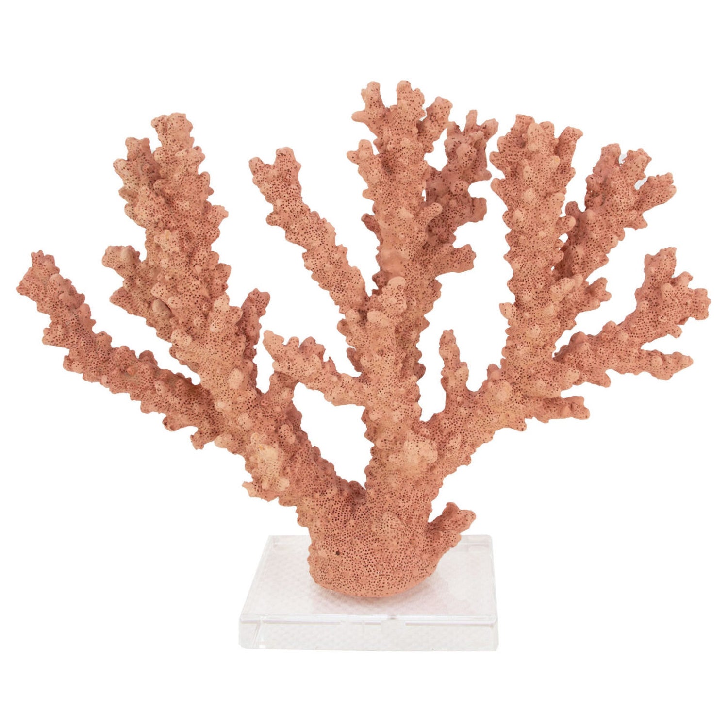 Coral Burst Sculpture