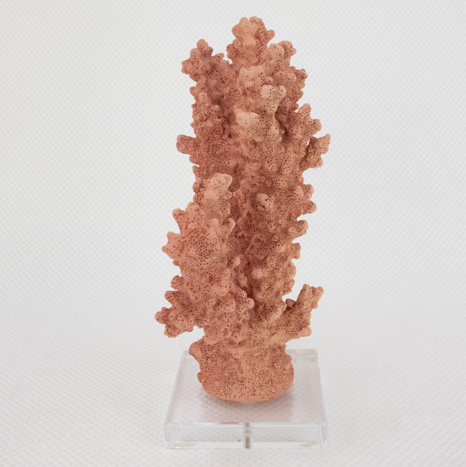 Coral Burst Sculpture