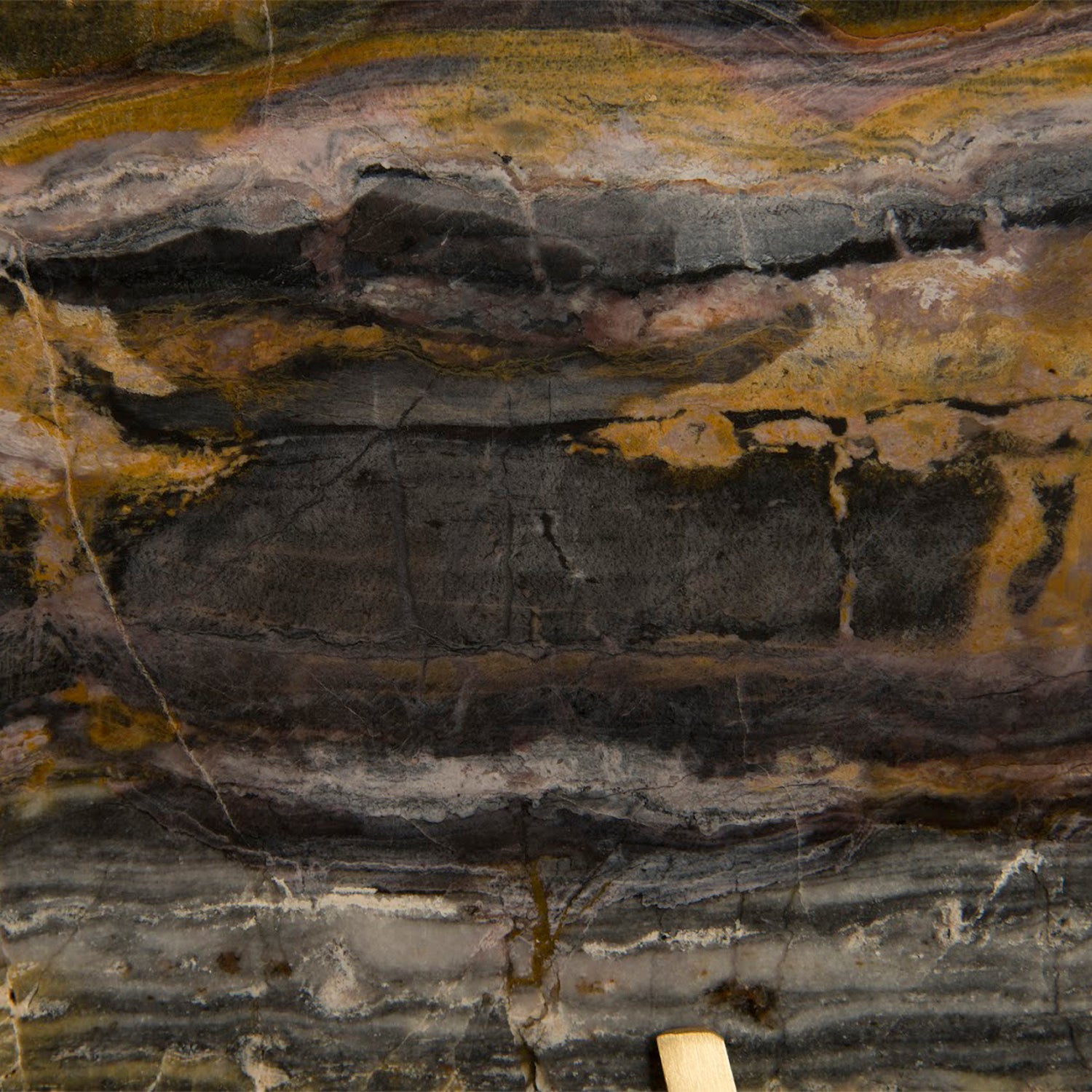 Phillips Collection Gem Wall Tile