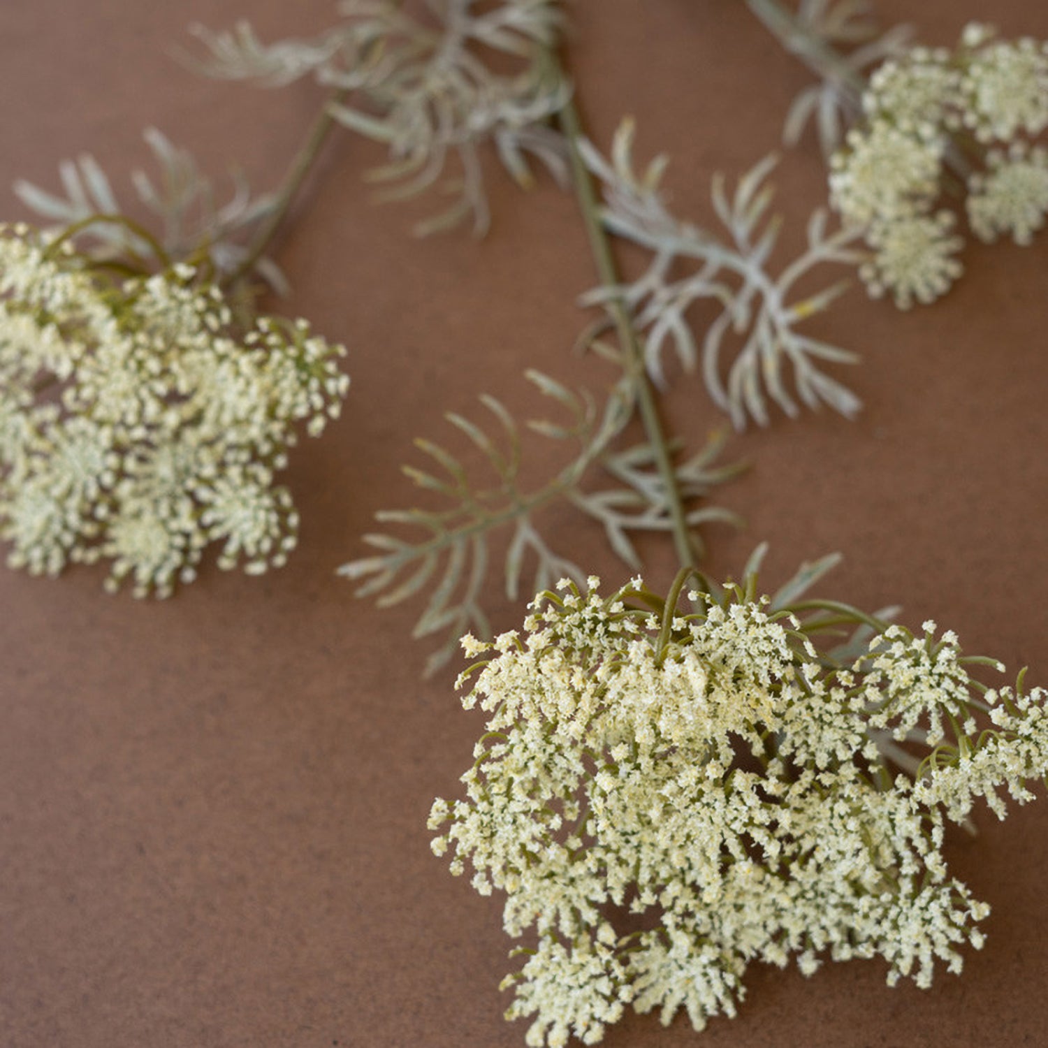 Lace Flower Spray Faux Plant Stem Set of 6