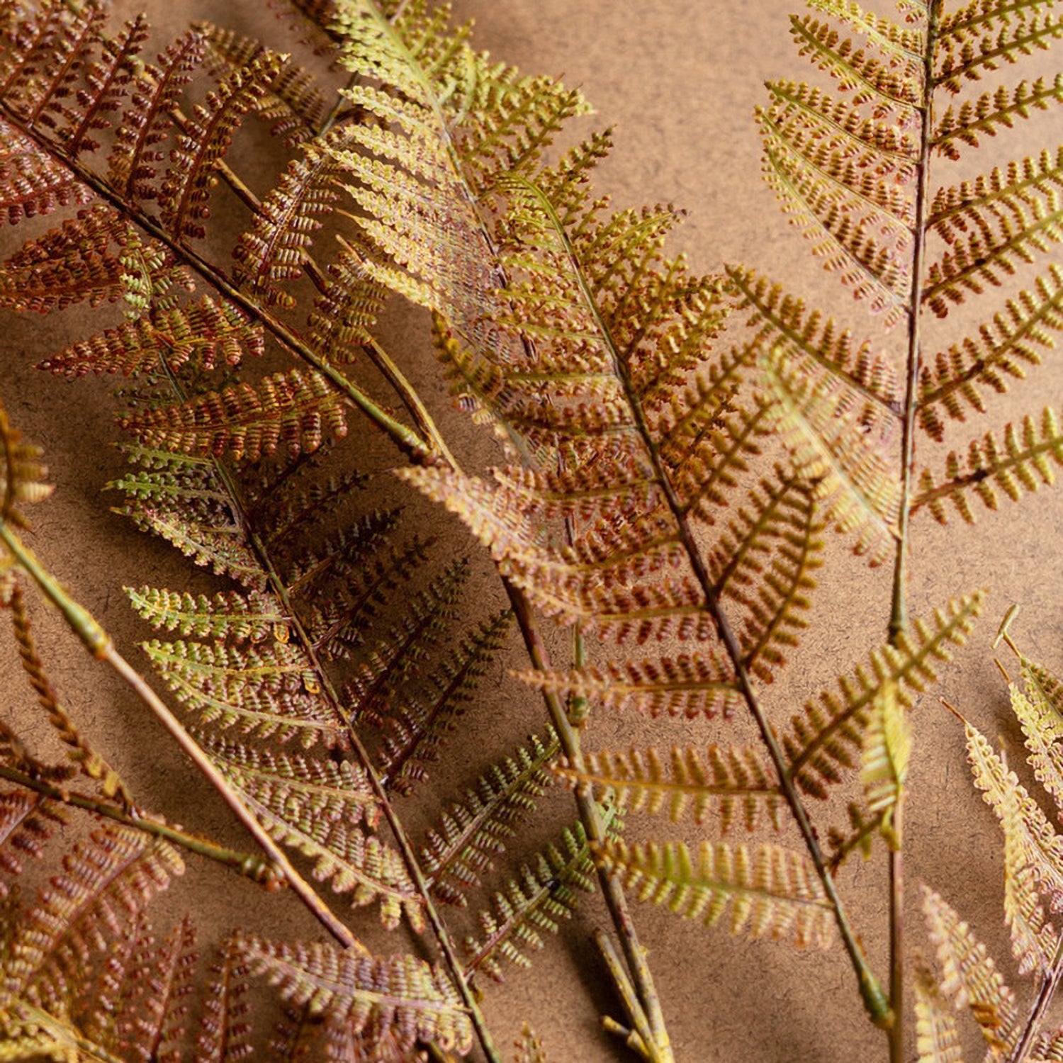 Autumn Fern Faux Plant Stem Set of 6