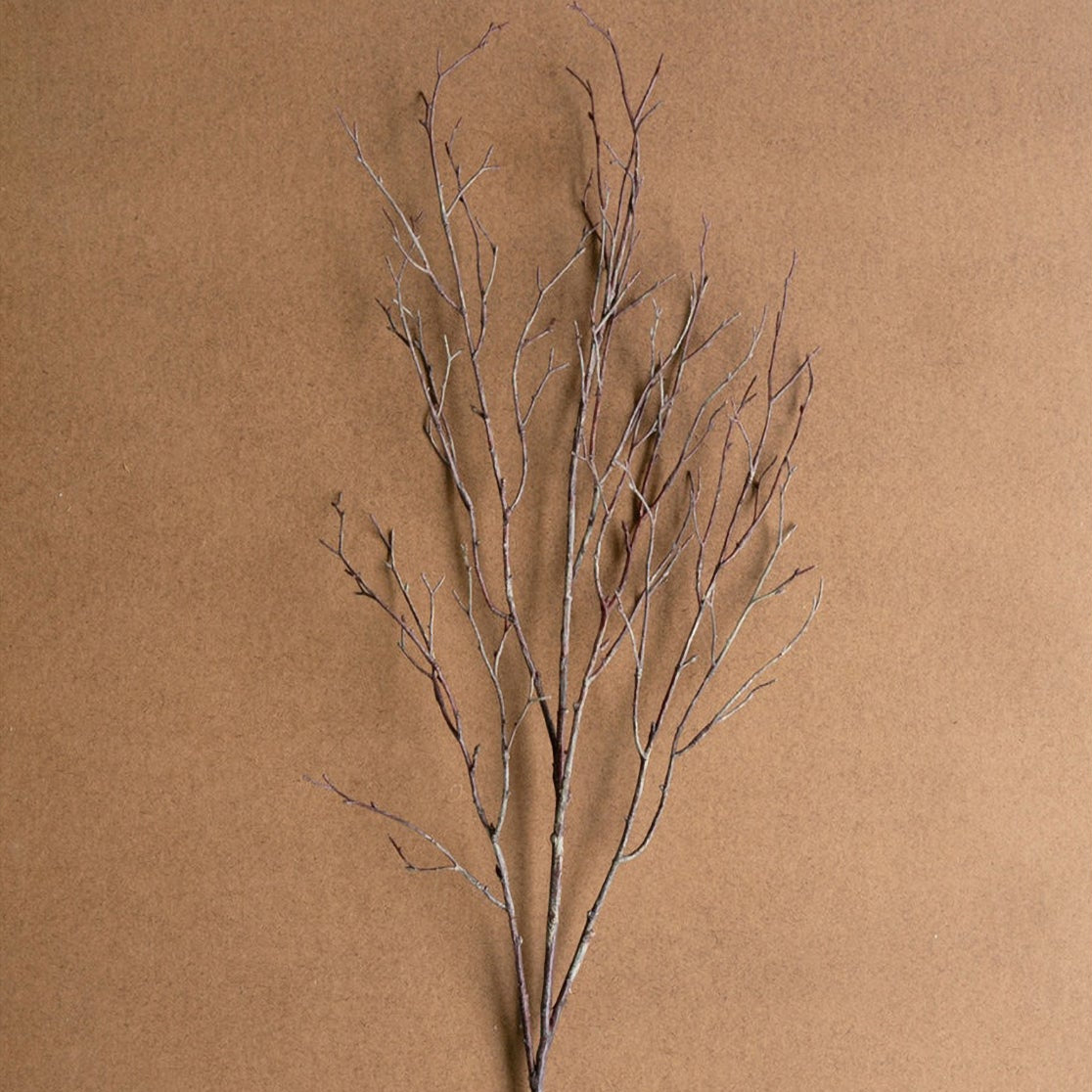 Birch Branch Faux Plant Stem Set of 6