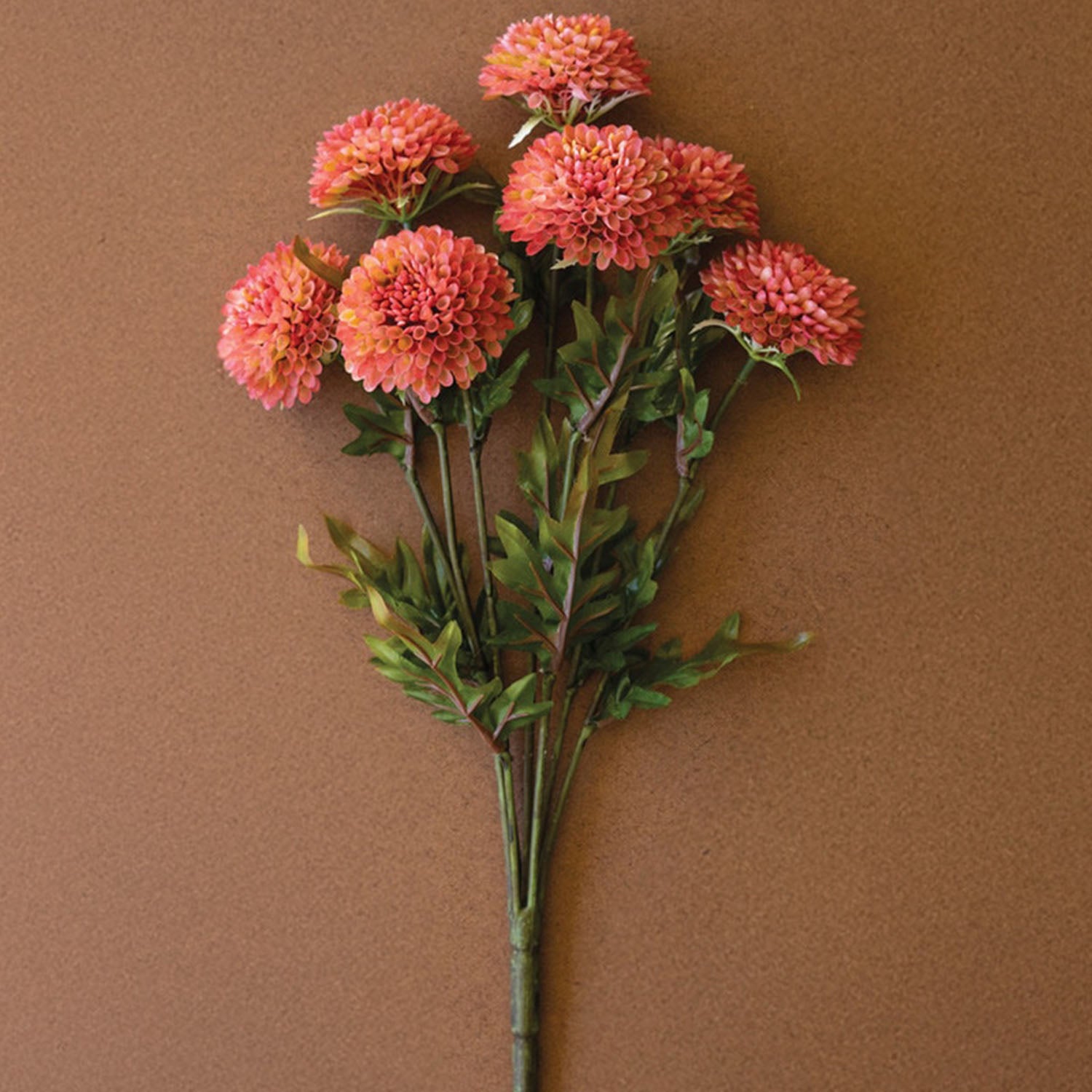 Close-up detail of the rounded ball dahlia bloom shape