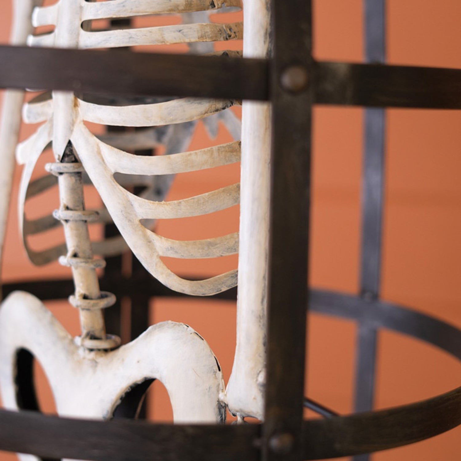 Halloween Skeleton in a Cage