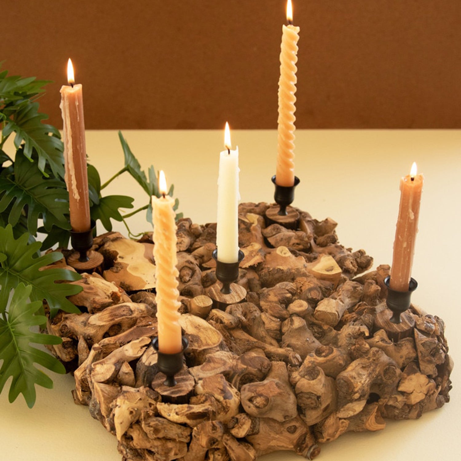 Mulberry Root Taper Candelabra