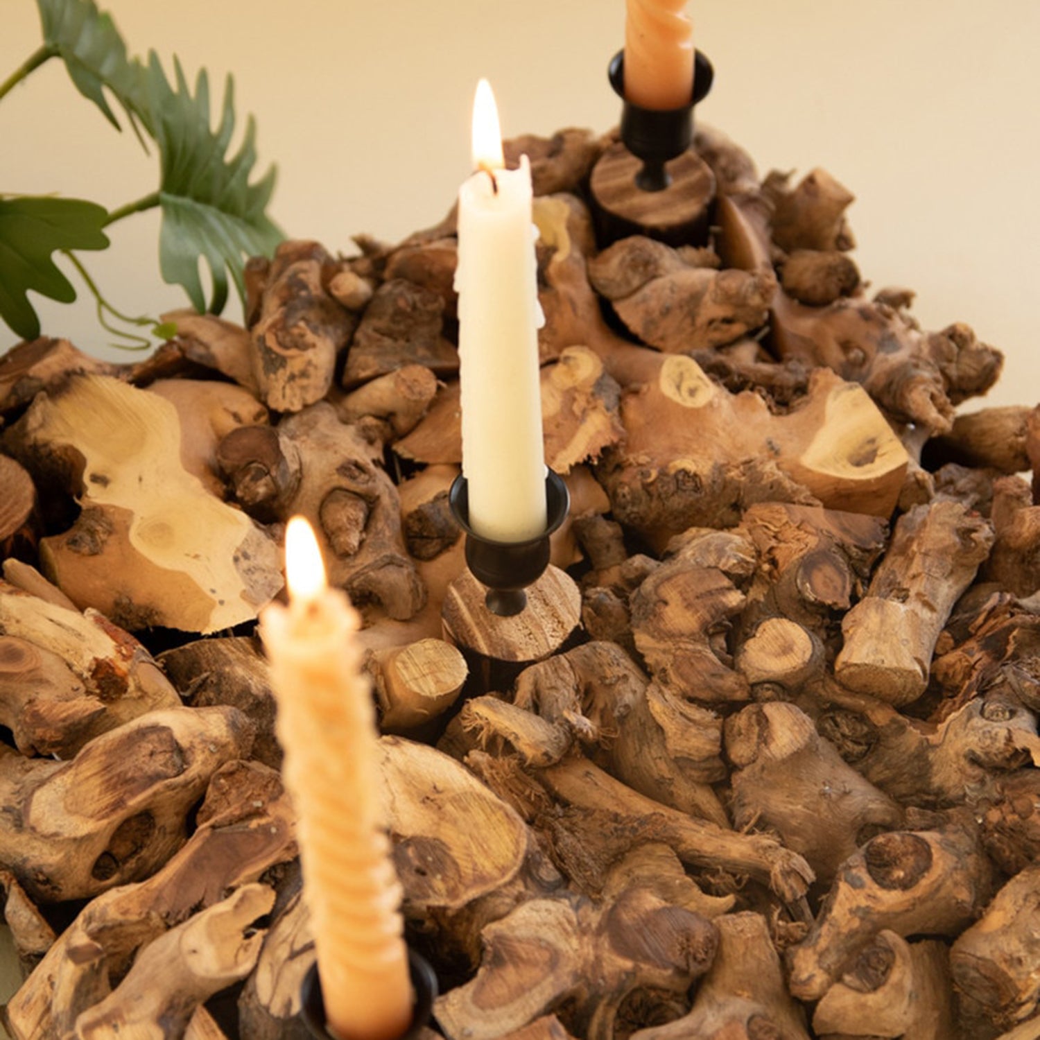 Mulberry Root Taper Candelabra