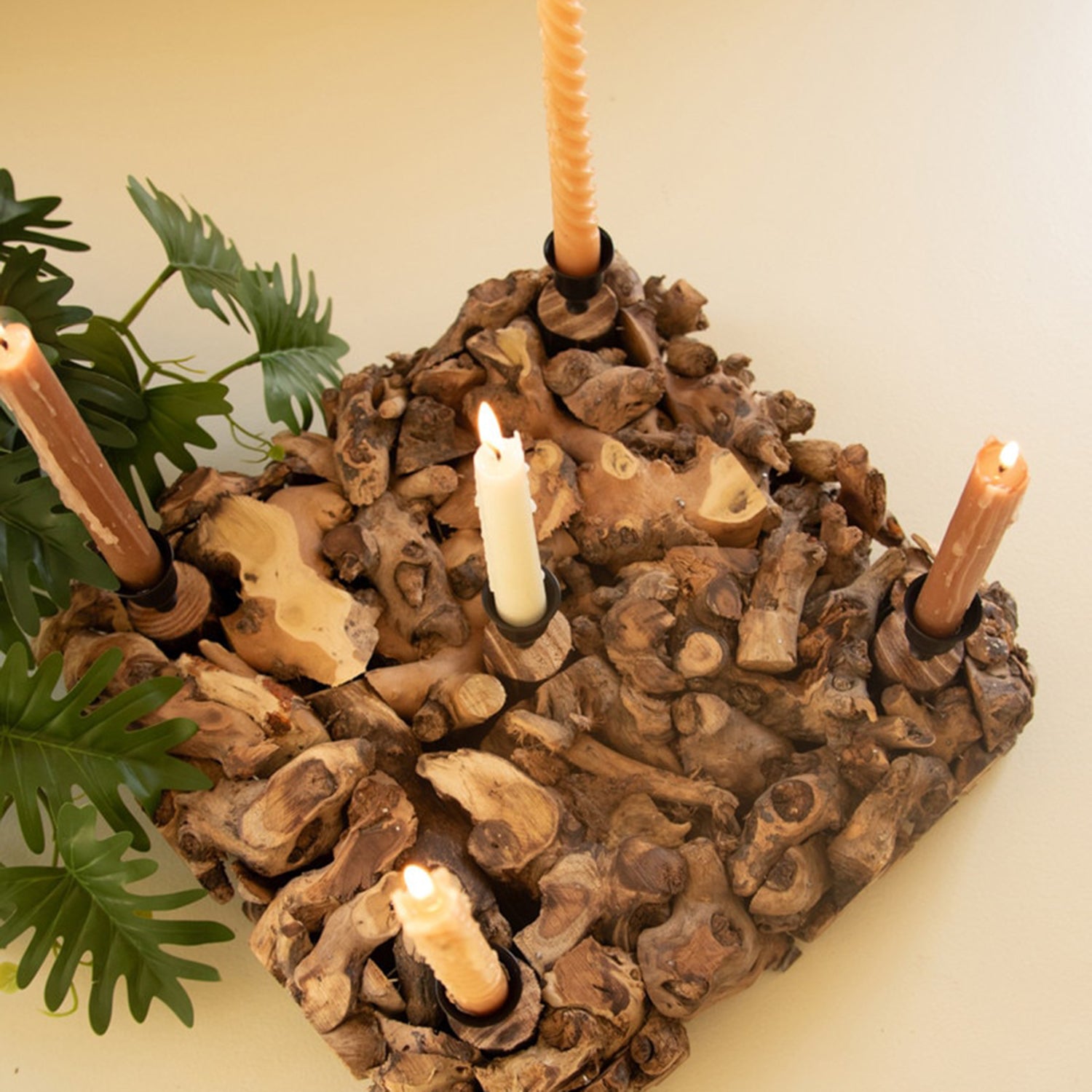 Mulberry Root Taper Candelabra