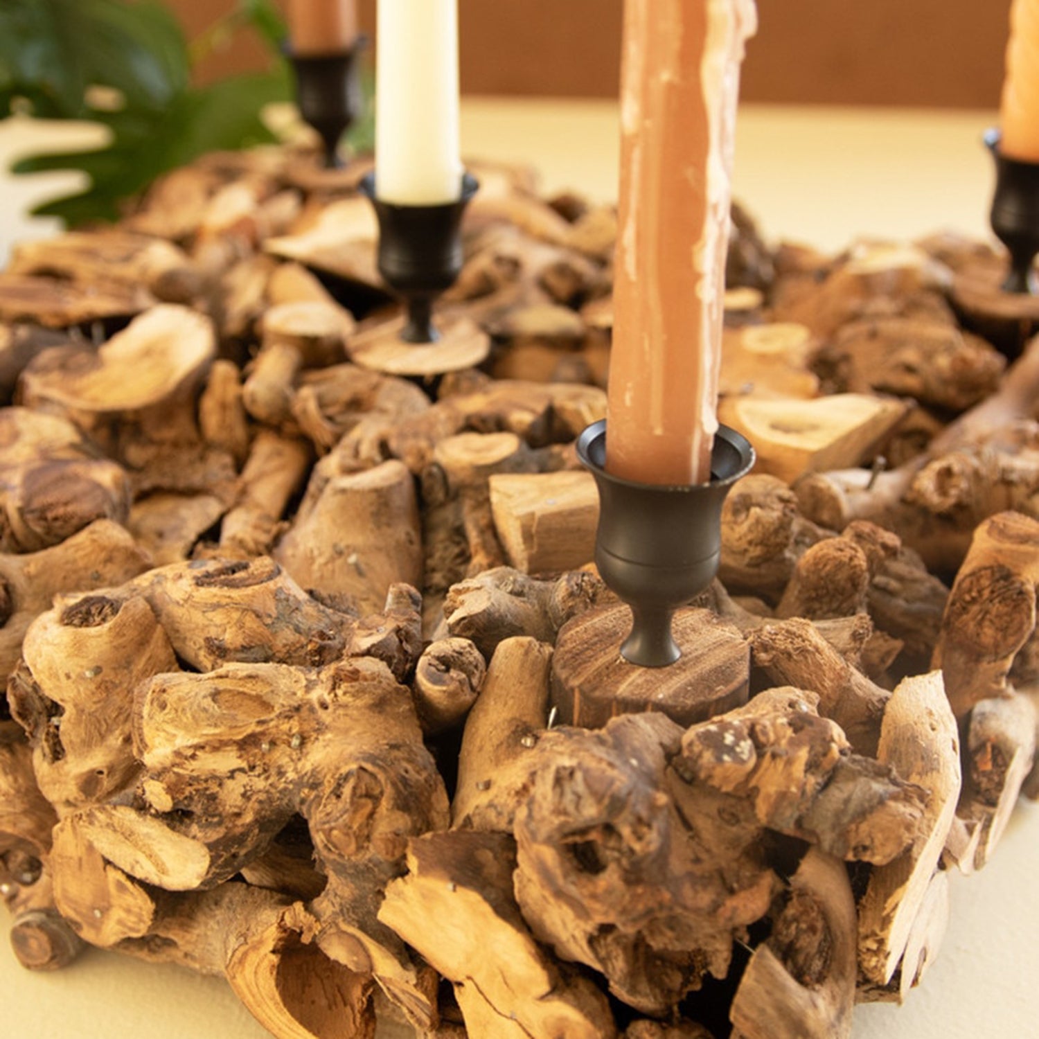 Mulberry Root Taper Candelabra