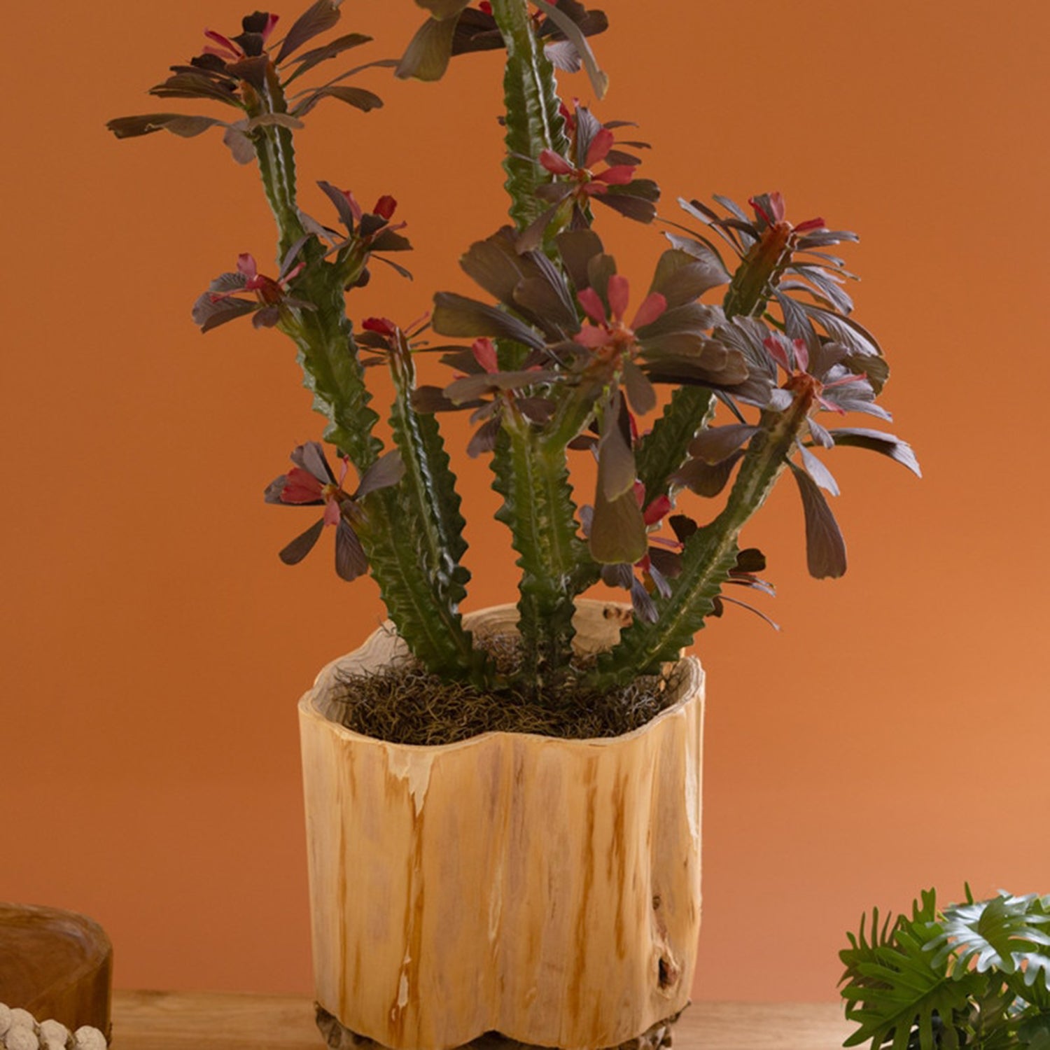 Recycled Firwood Vessel on a Mulberry Root Base