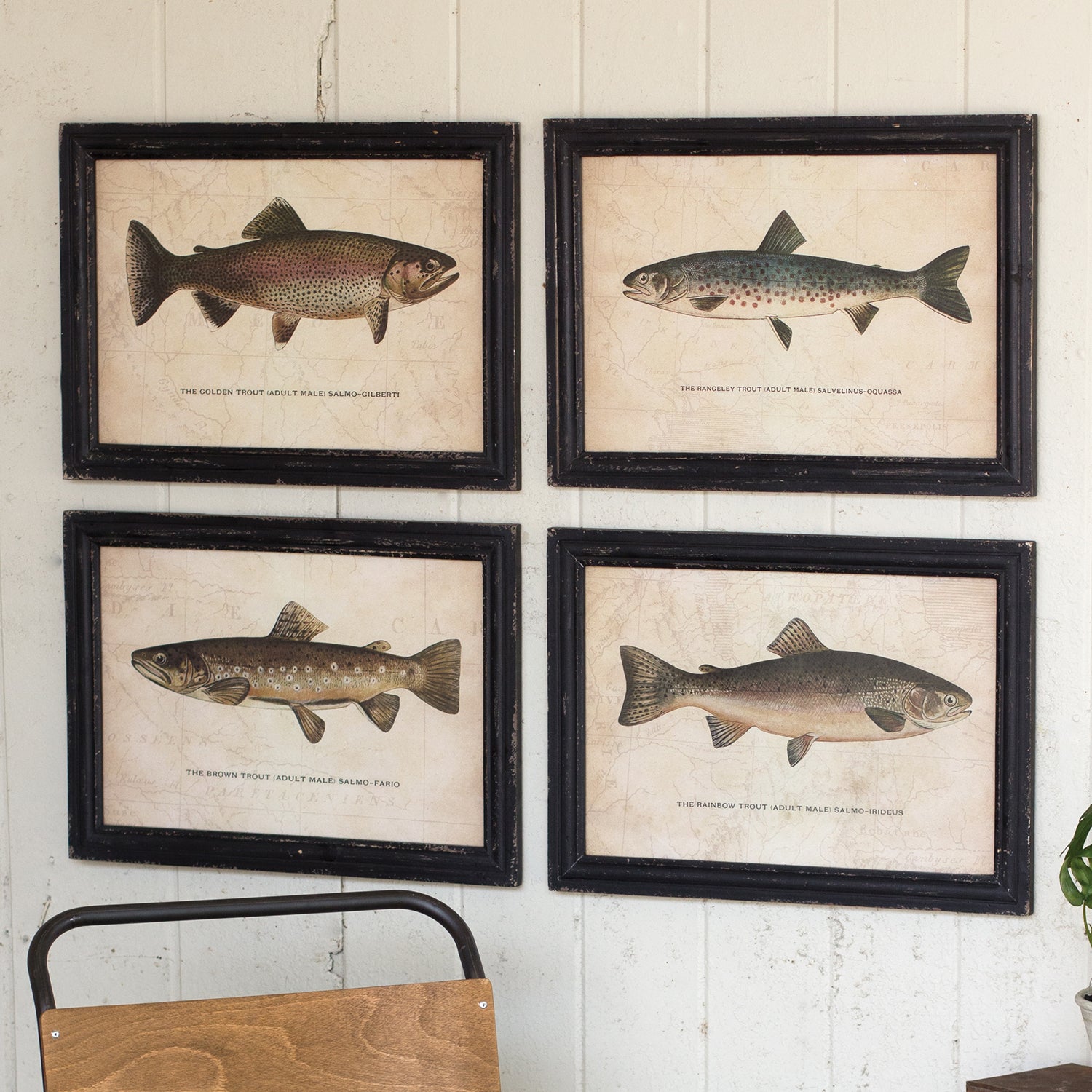 Trout Prints Wall Art Set of 4