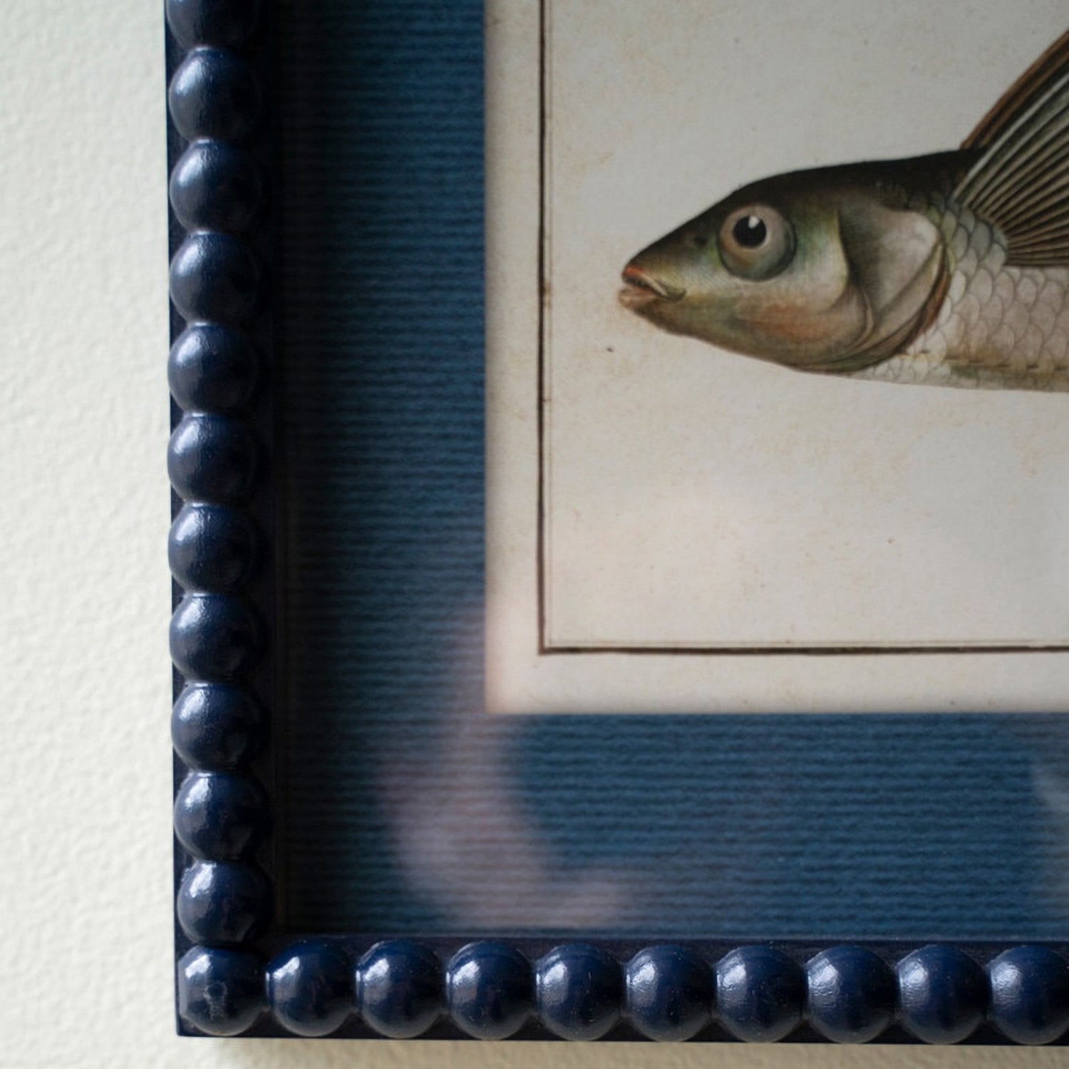 Fish Prints Framed Artwork Set of 2