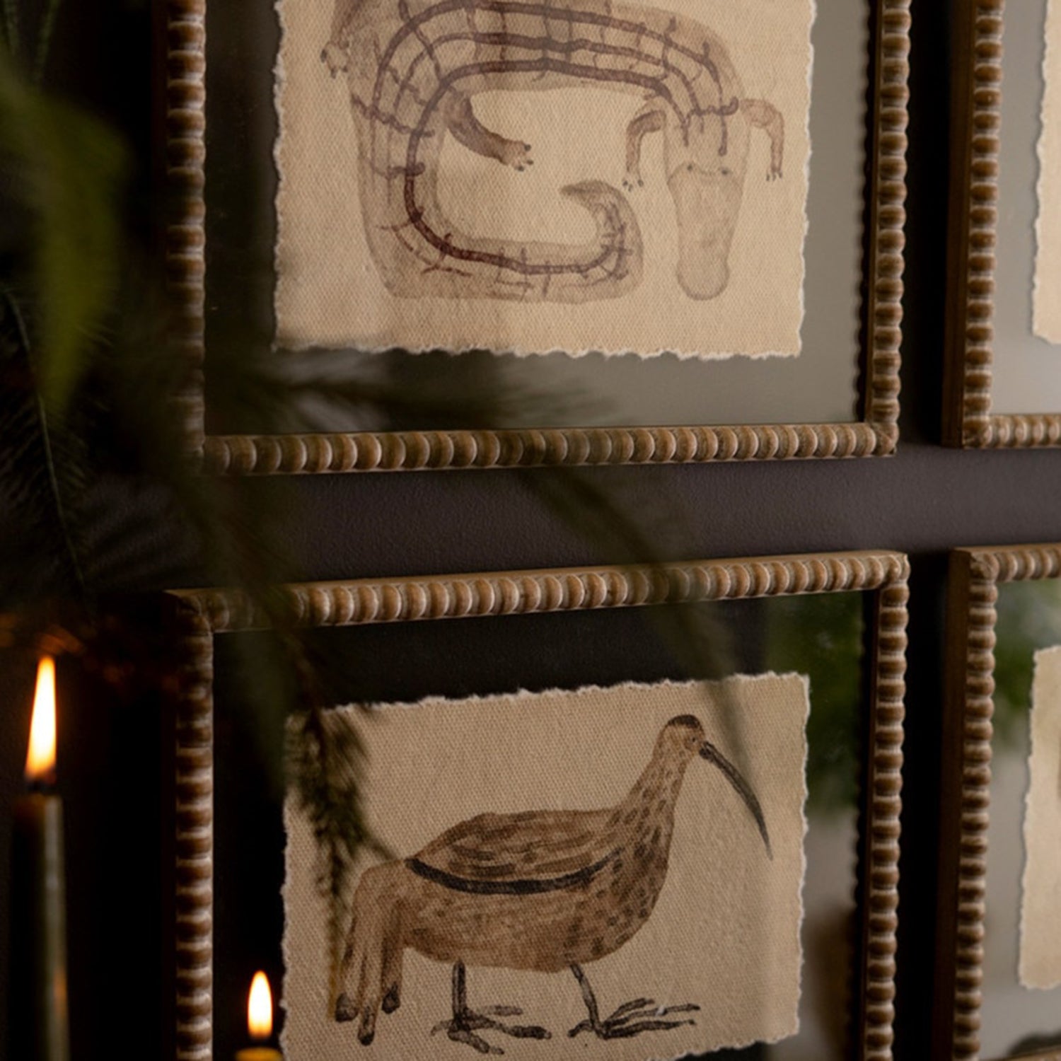 Animal Framed Print Under Glass Set of 4