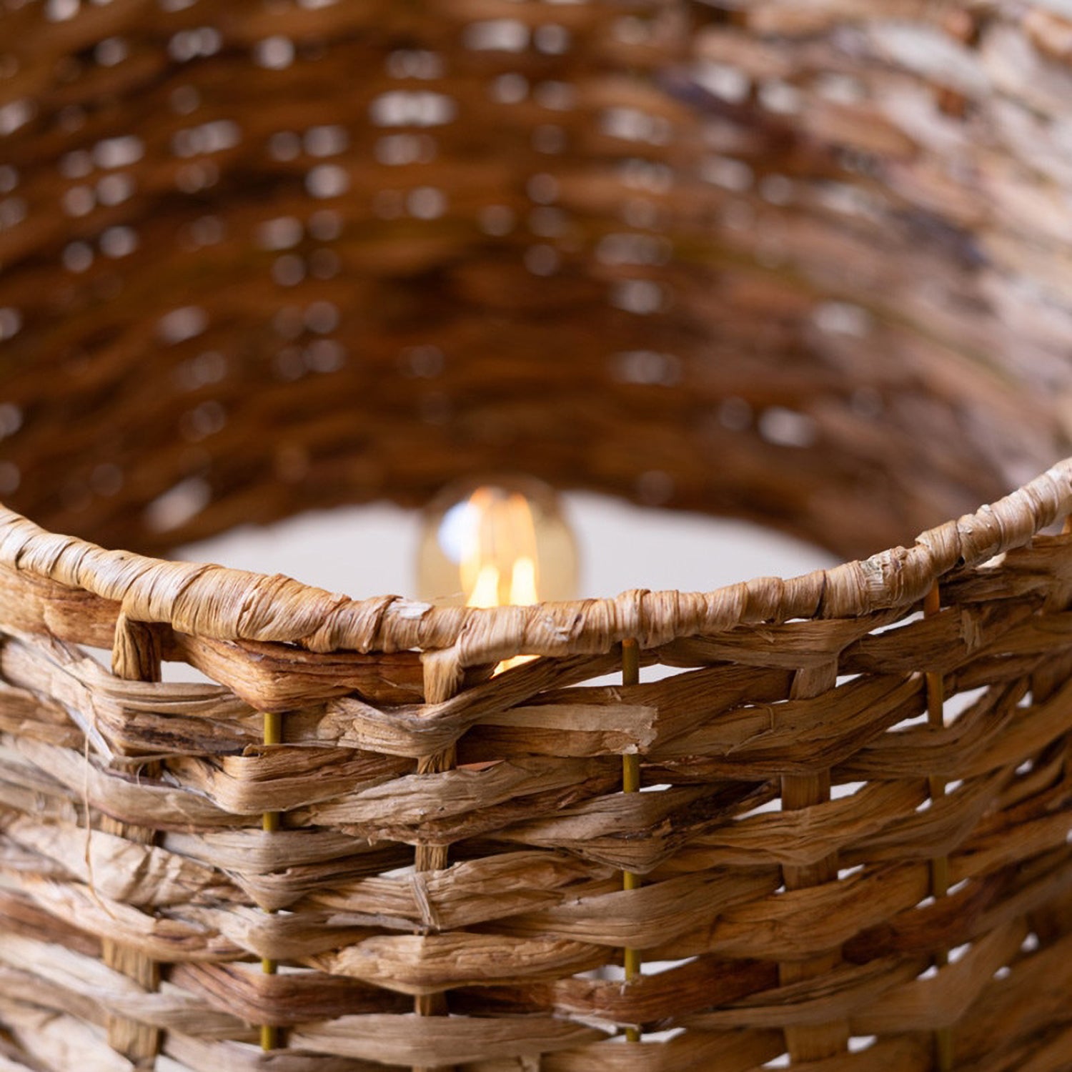 Driftwood Table Lamp