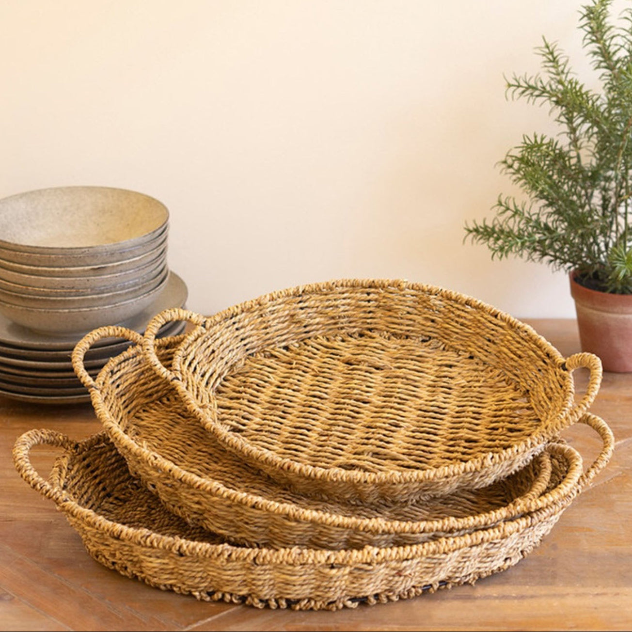 Woven Vine Oval Tray Set of 3
