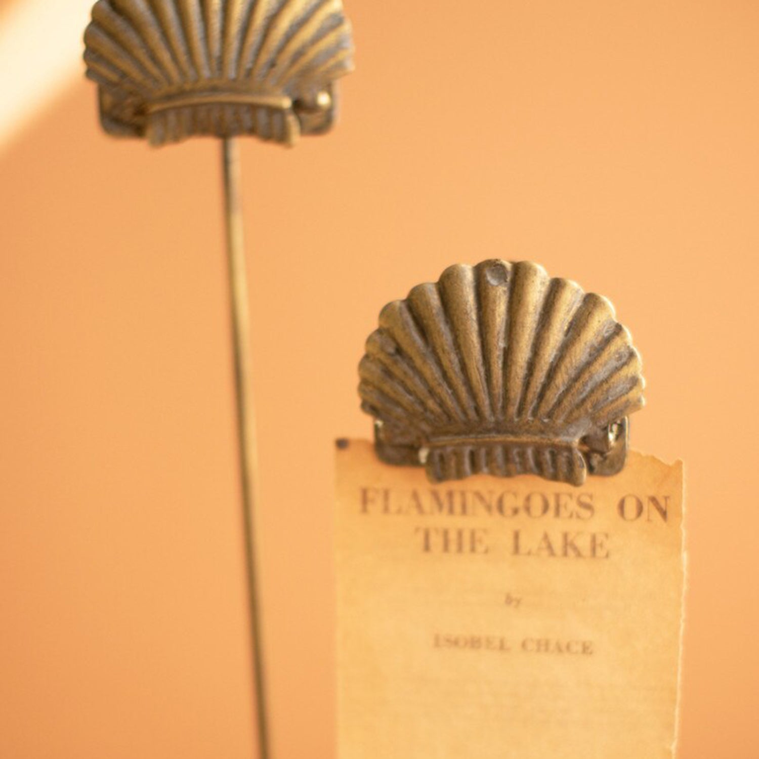 Shell Metal Note Clip Set of 2