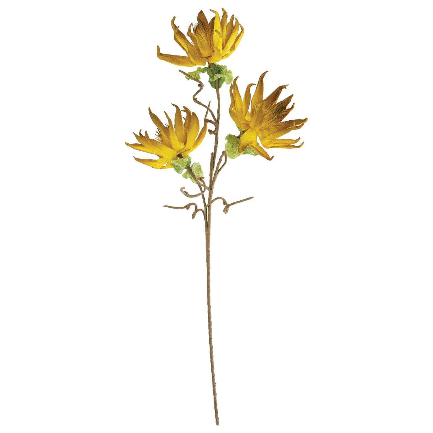 Dried Sunflower Faux Plant Stem Set of 6