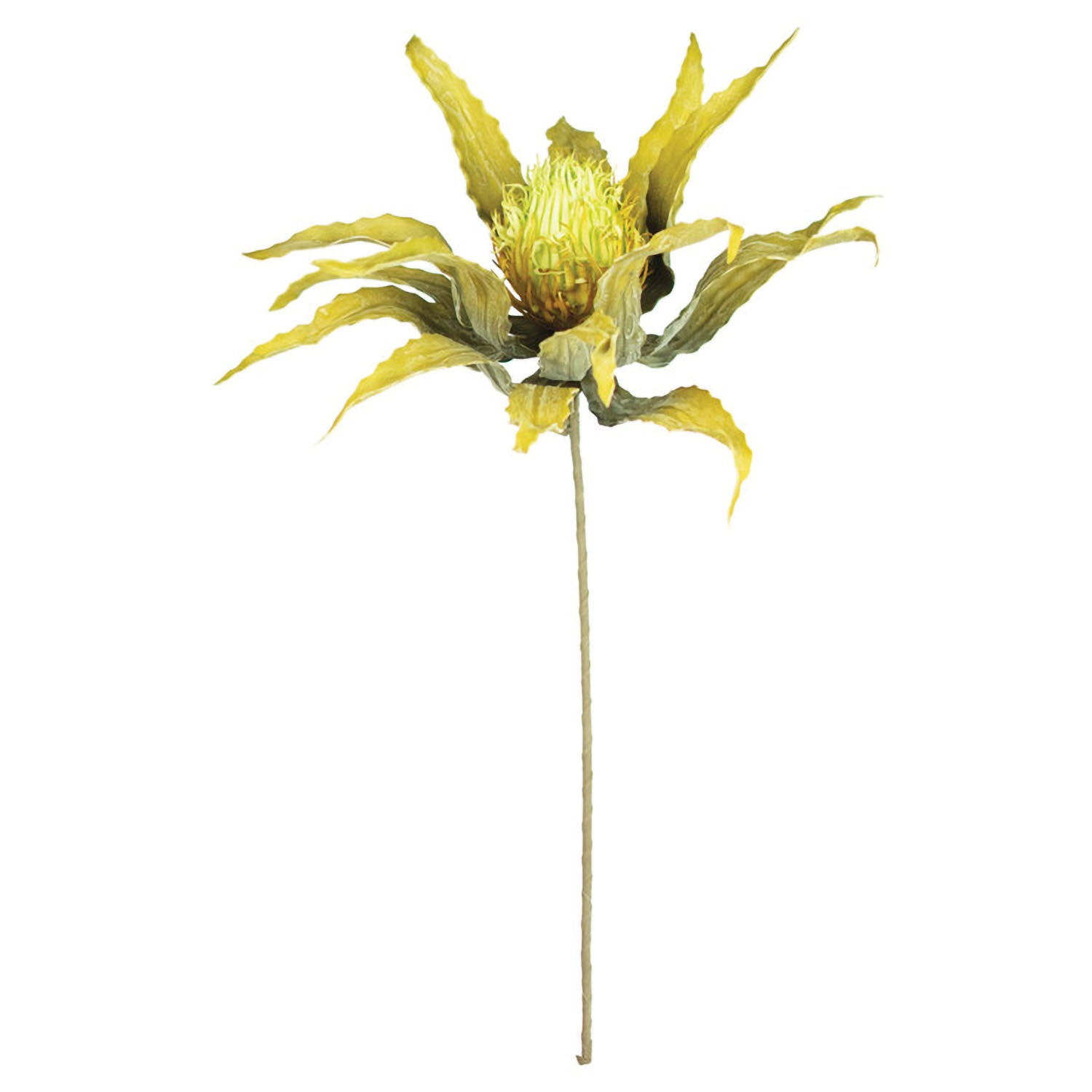 Cactus Bloom Faux Plant Stem Set of 6