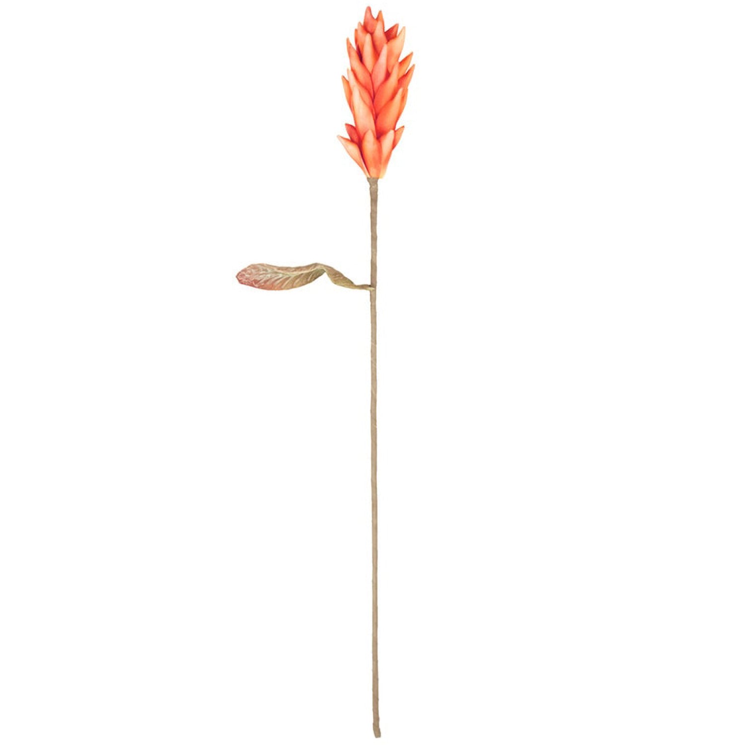 Botanica #3582 Faux Plant Stem Set of 12