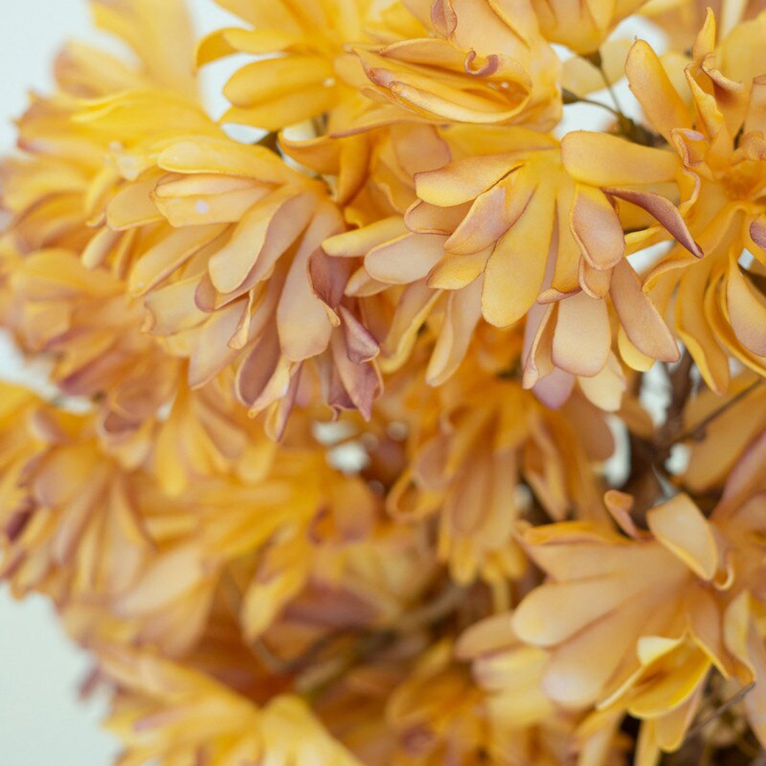 Botanica #3590 Faux Plant Stem Set of 6